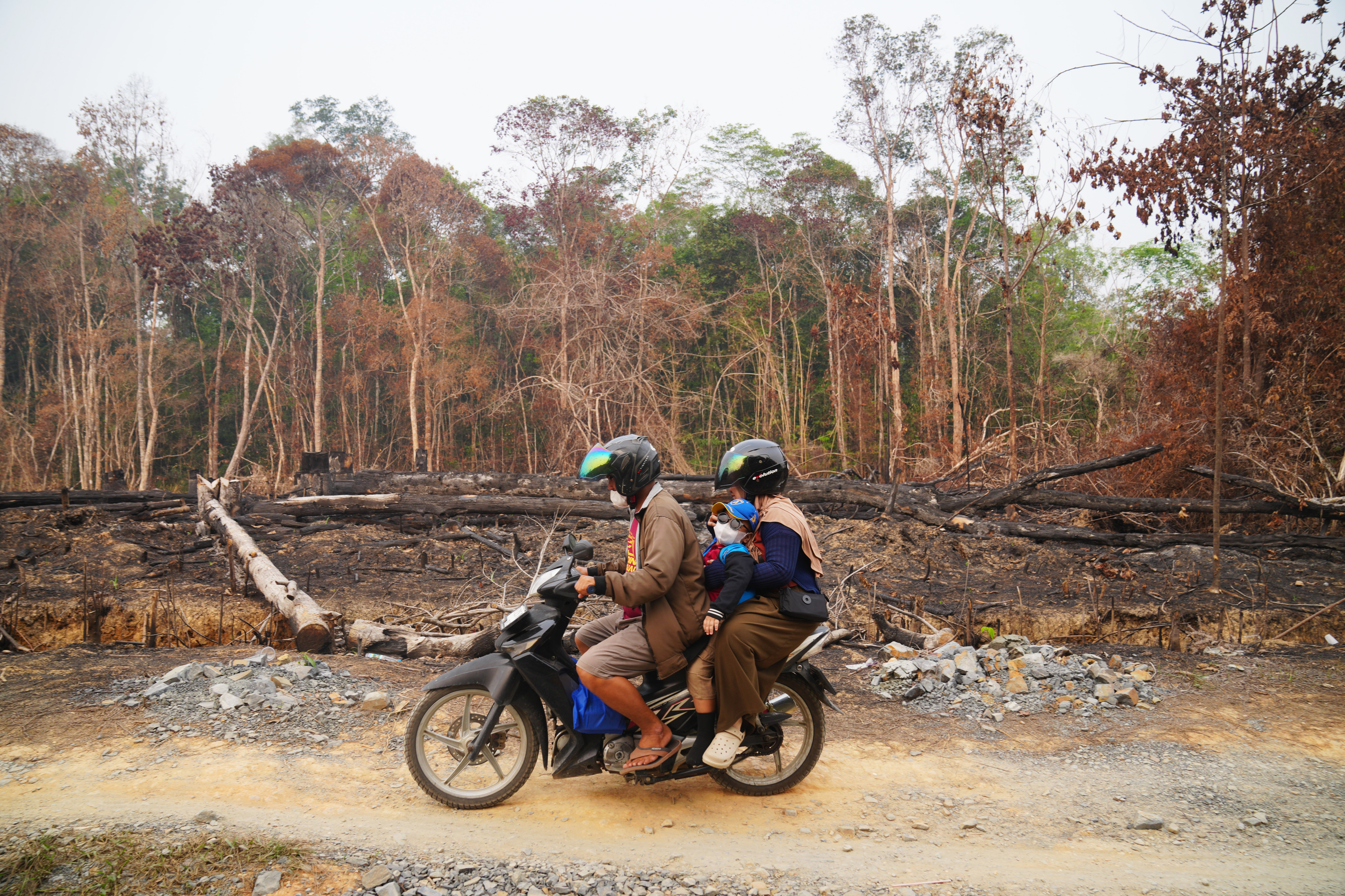 Climate El Nino Peatlands