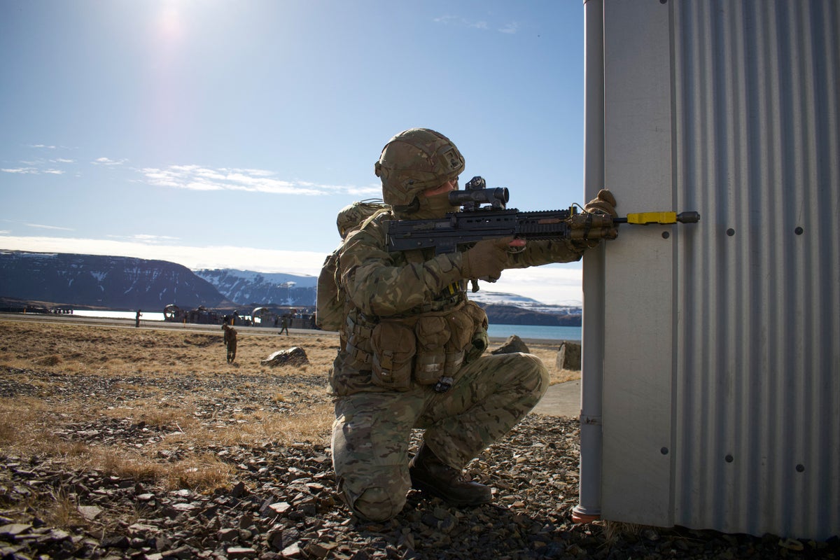 British troops join allies for major military exercise countering Russian threats