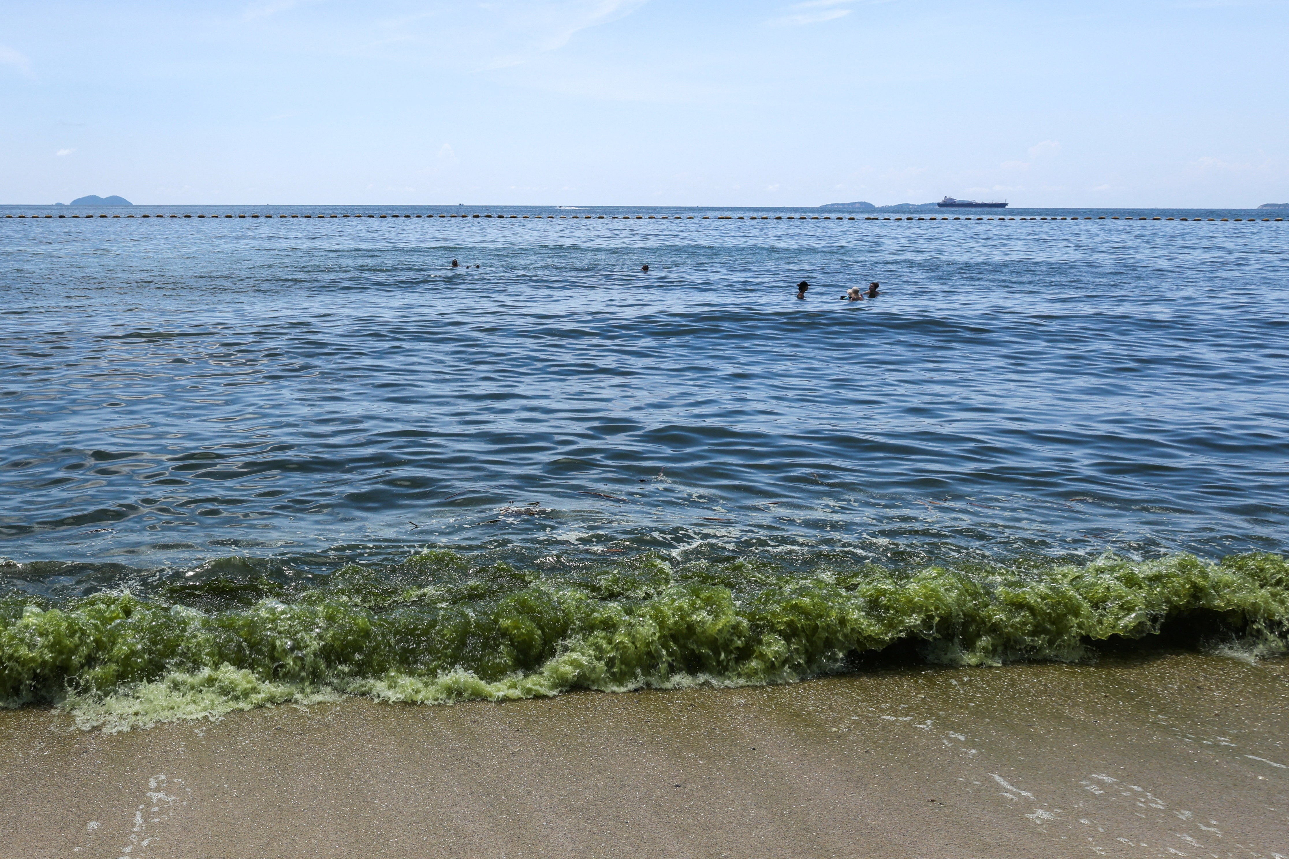 2026年10月1日、タイ・チョンブリー県パタヤのラン島で、プランクトンの発生に伴う緑色の海水で泳ぐ観光客