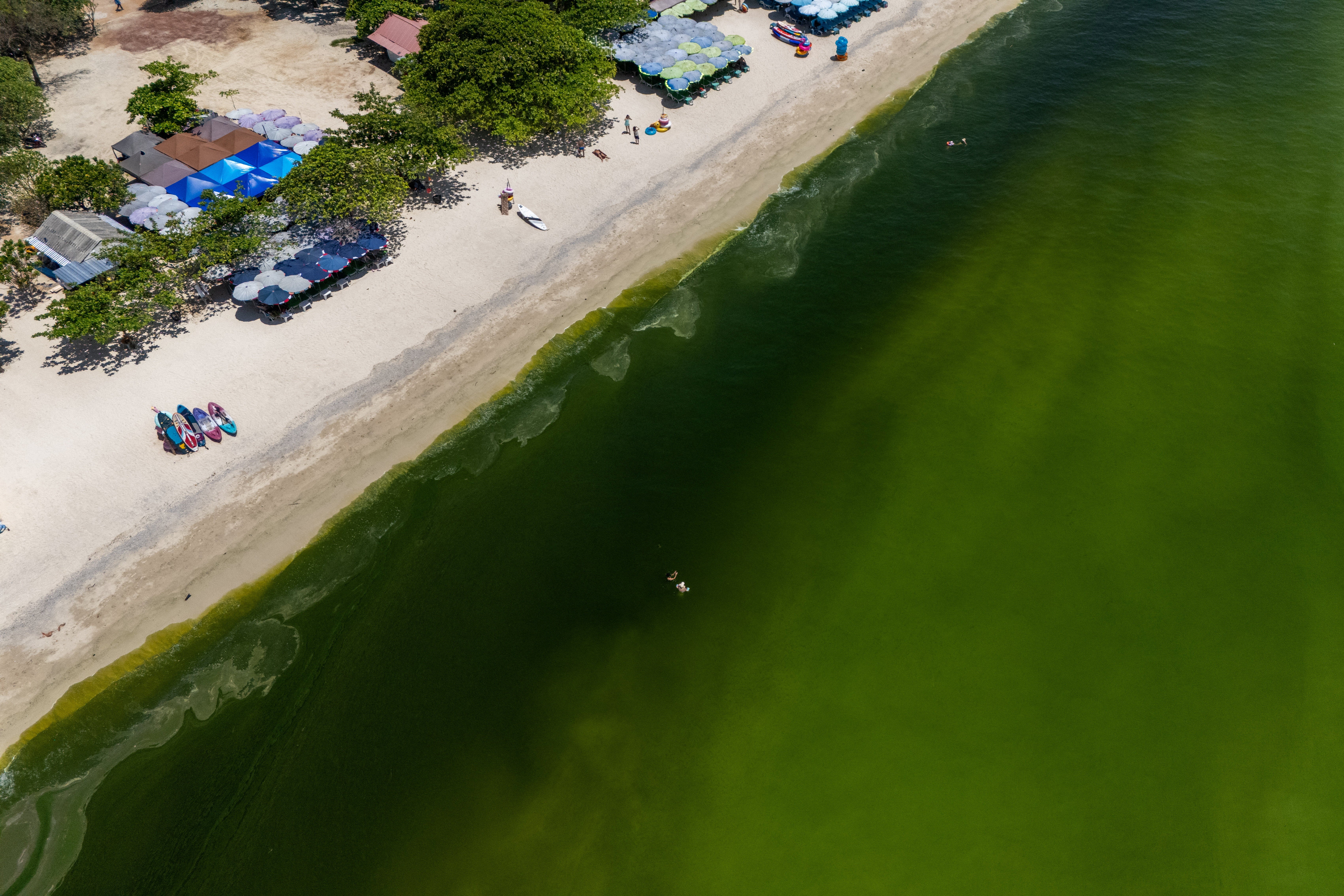 A drone view shows green seawater associated with a plankton bloom, in Koh Lan, Pattaya, Chonburi province, Thailand, October 1, 2026
