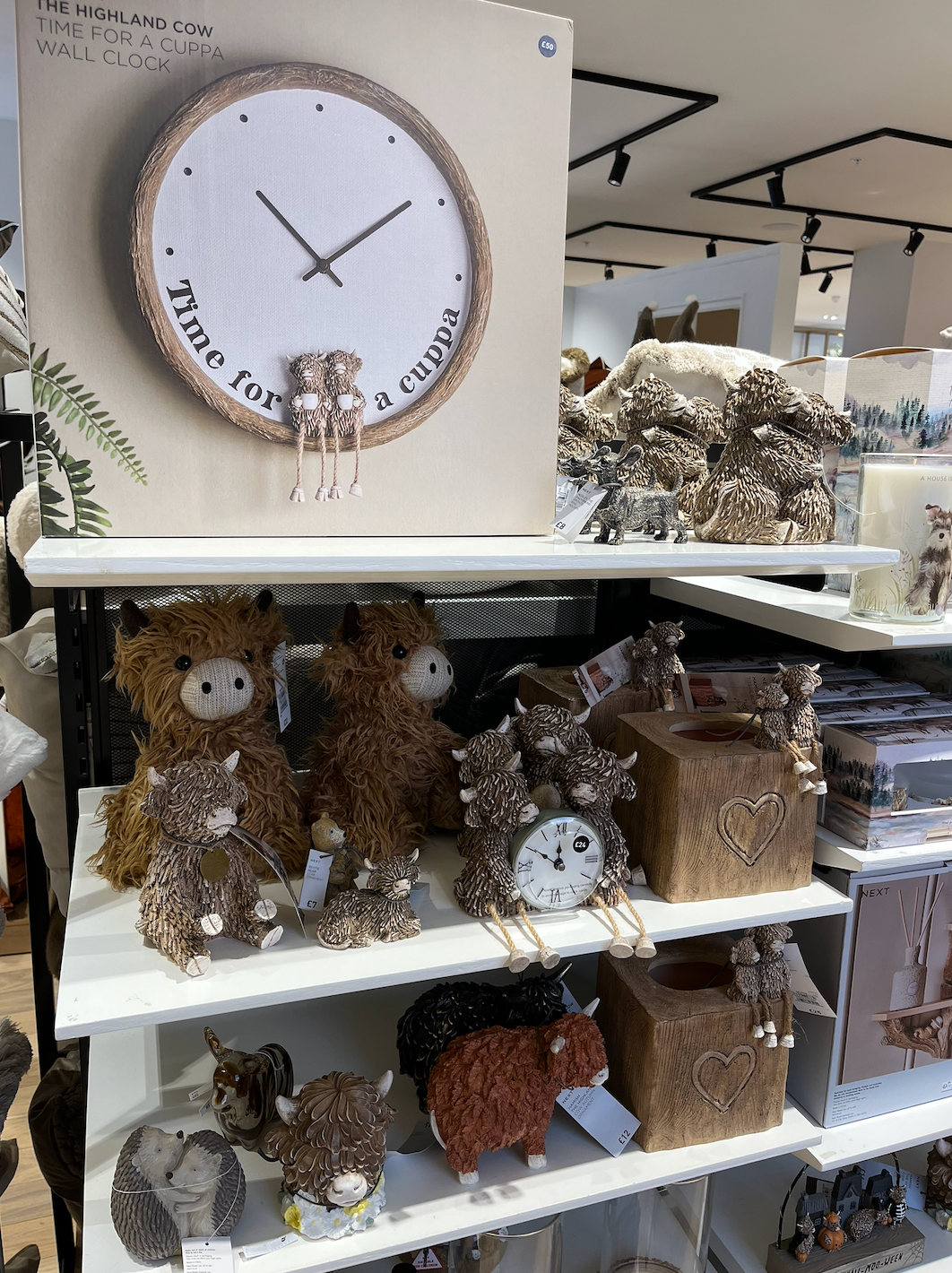 Home is where the herd is: just a small sampling of the Highland cow-themed knick-knacks on offer at Next