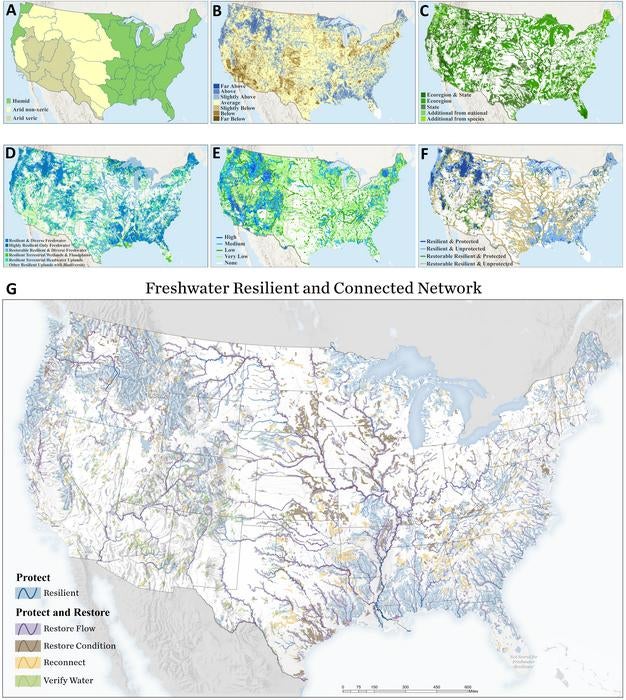 A new map shows which rivers are resilient and which are vulnerable across the U.S. The rivers are highlighted with colors - blue, purple, brown, yellow and green - that correspond to their level of resiliency as shown in the key on the bottom left of the image