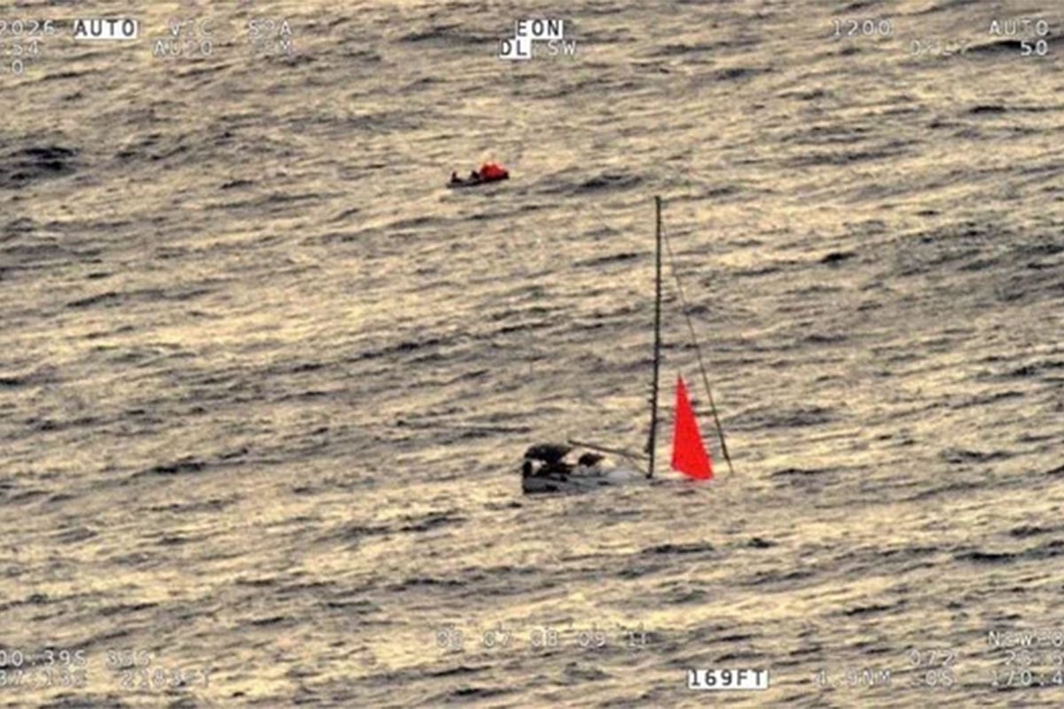 Gang of eight sperm whales sink yacht after ramming boat in South Pacific