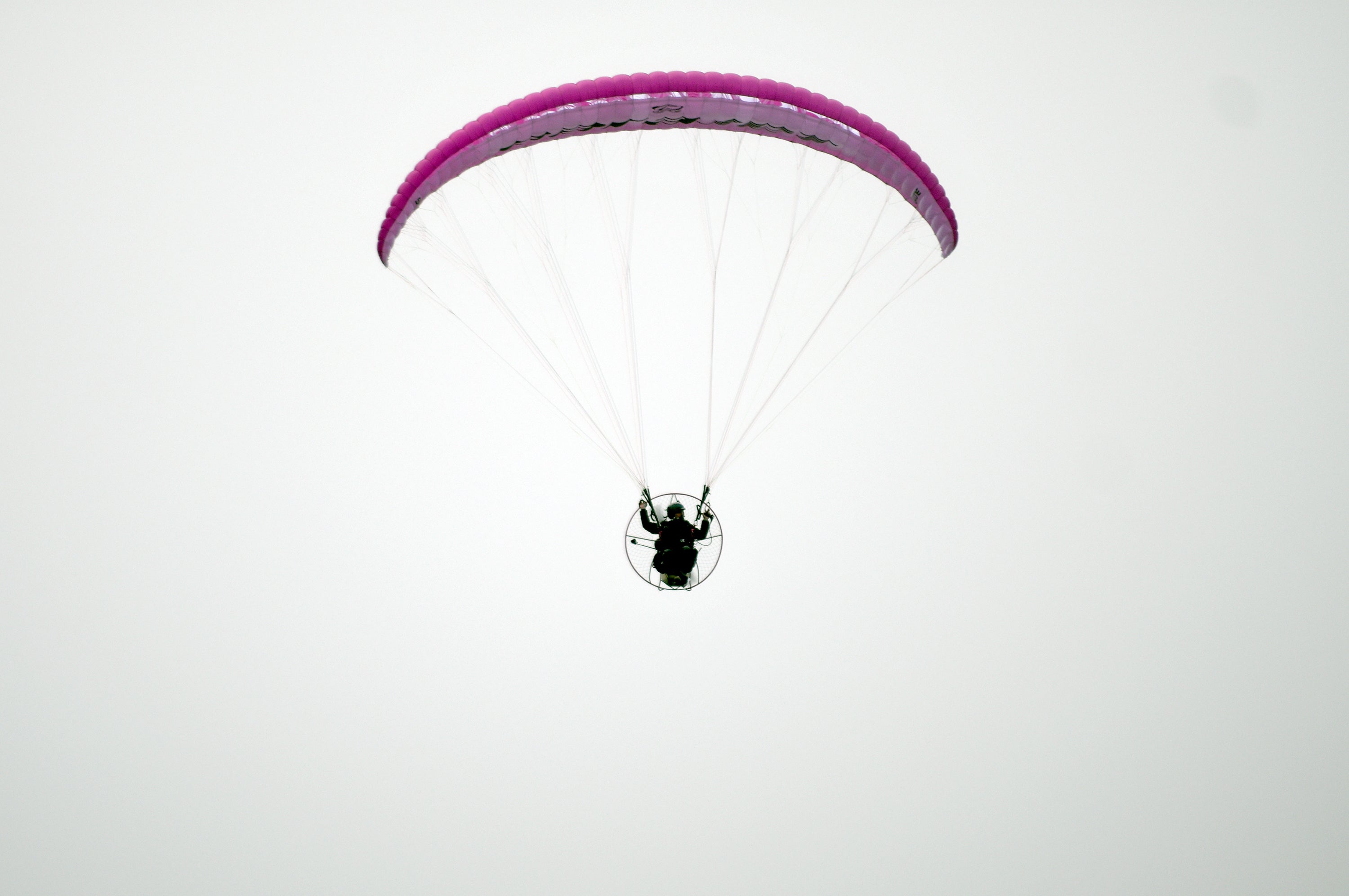 Flying_to_Work_37273.jpg