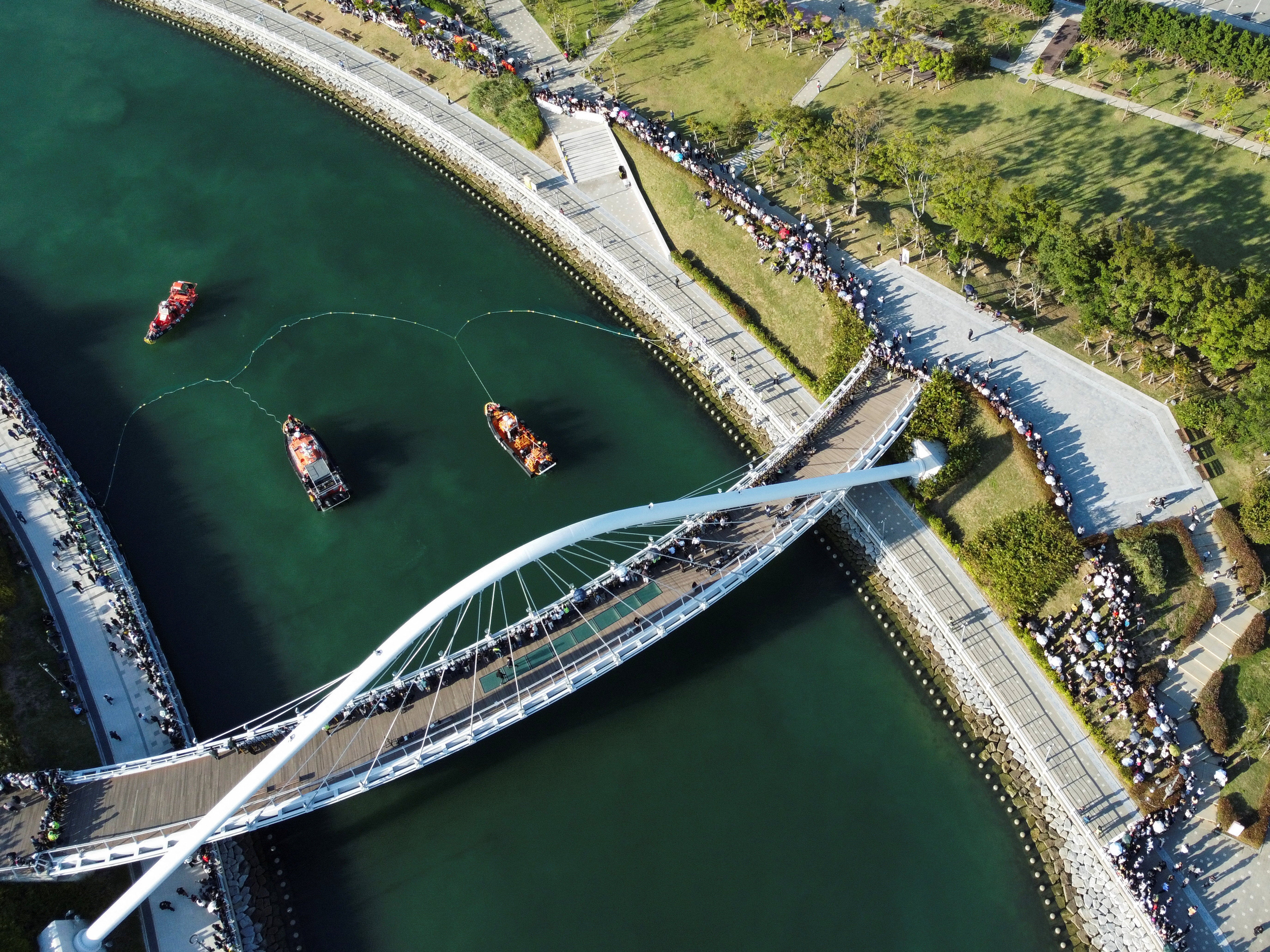 Shark trapped in South Korea’s Busan canal remains stranded after second rescue attempt fails