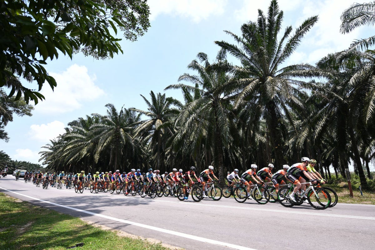French cyclist Ronan Auge emerges from induced coma