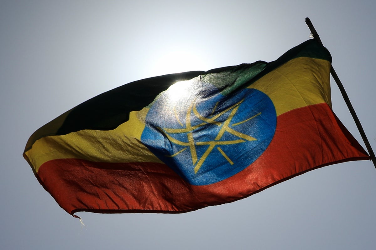 Ethiopian federal forces retake Mekelle airport as Tigray rebels withdraw