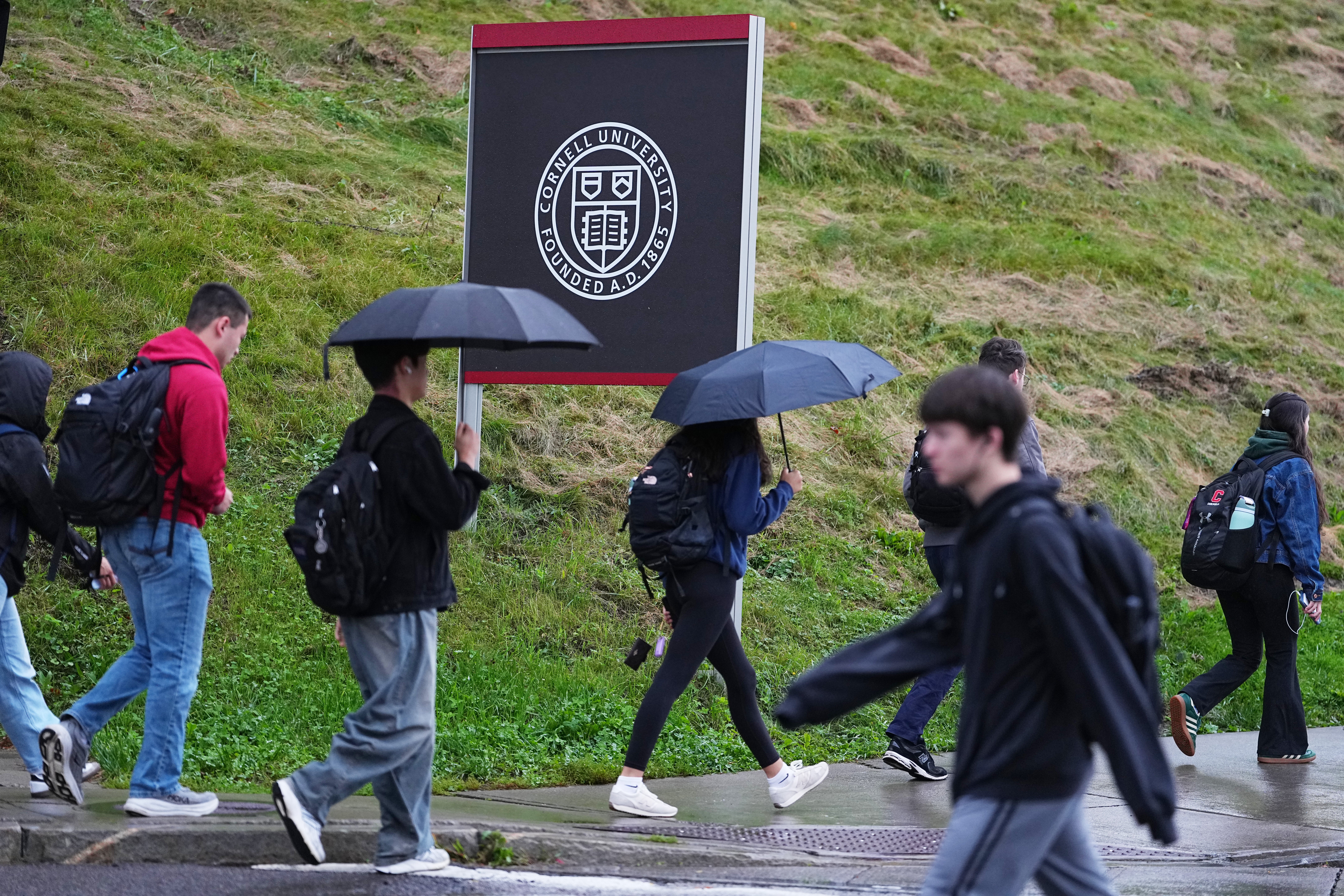 Cornell Investigation