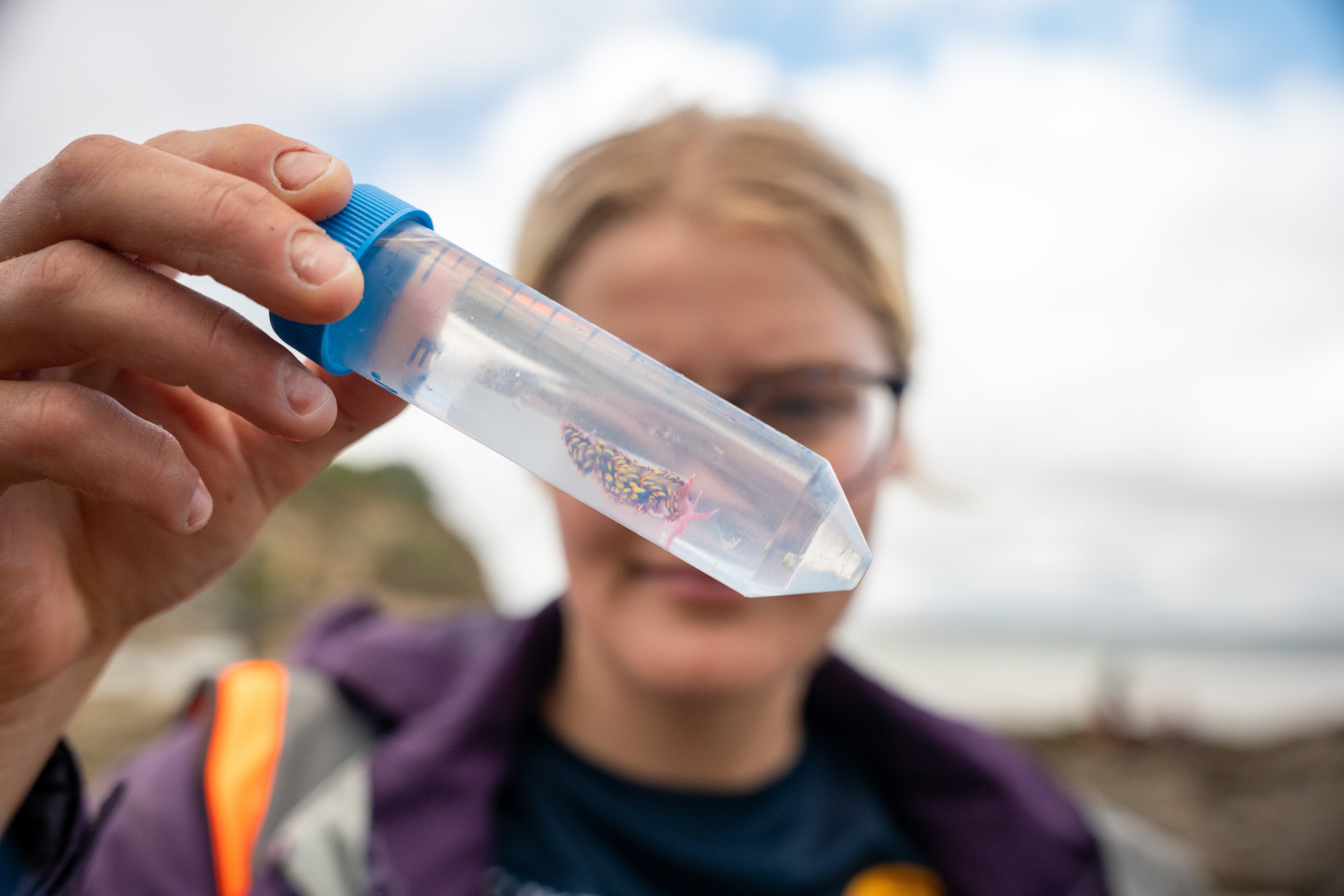 Conservationists have said the find serves as an important reminder of climate change's impact
