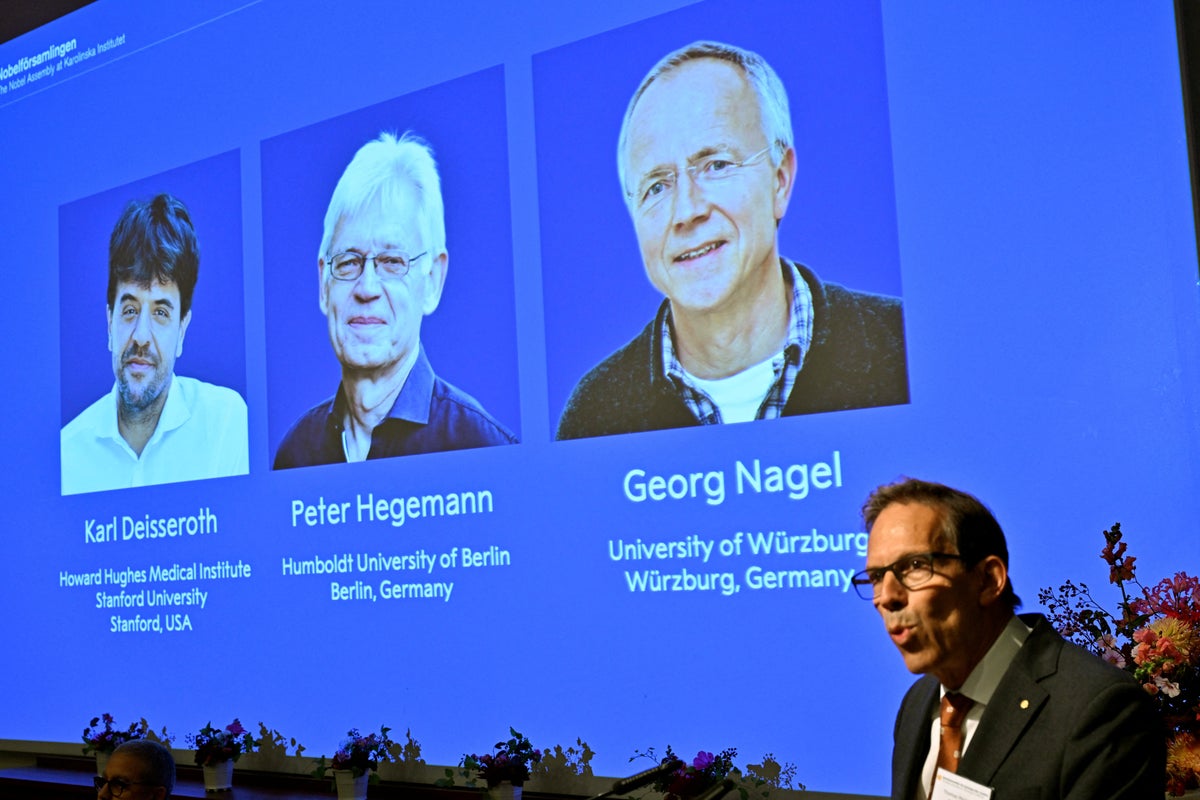 Nobel prize in medicine awarded to scientists studying mysteries of the brain