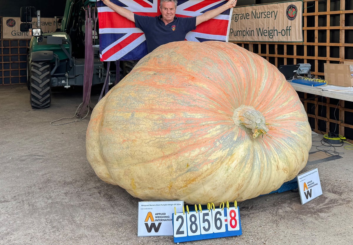 British grandfather smashes pumpkin world record by growing gourd as heavy as a hippo
