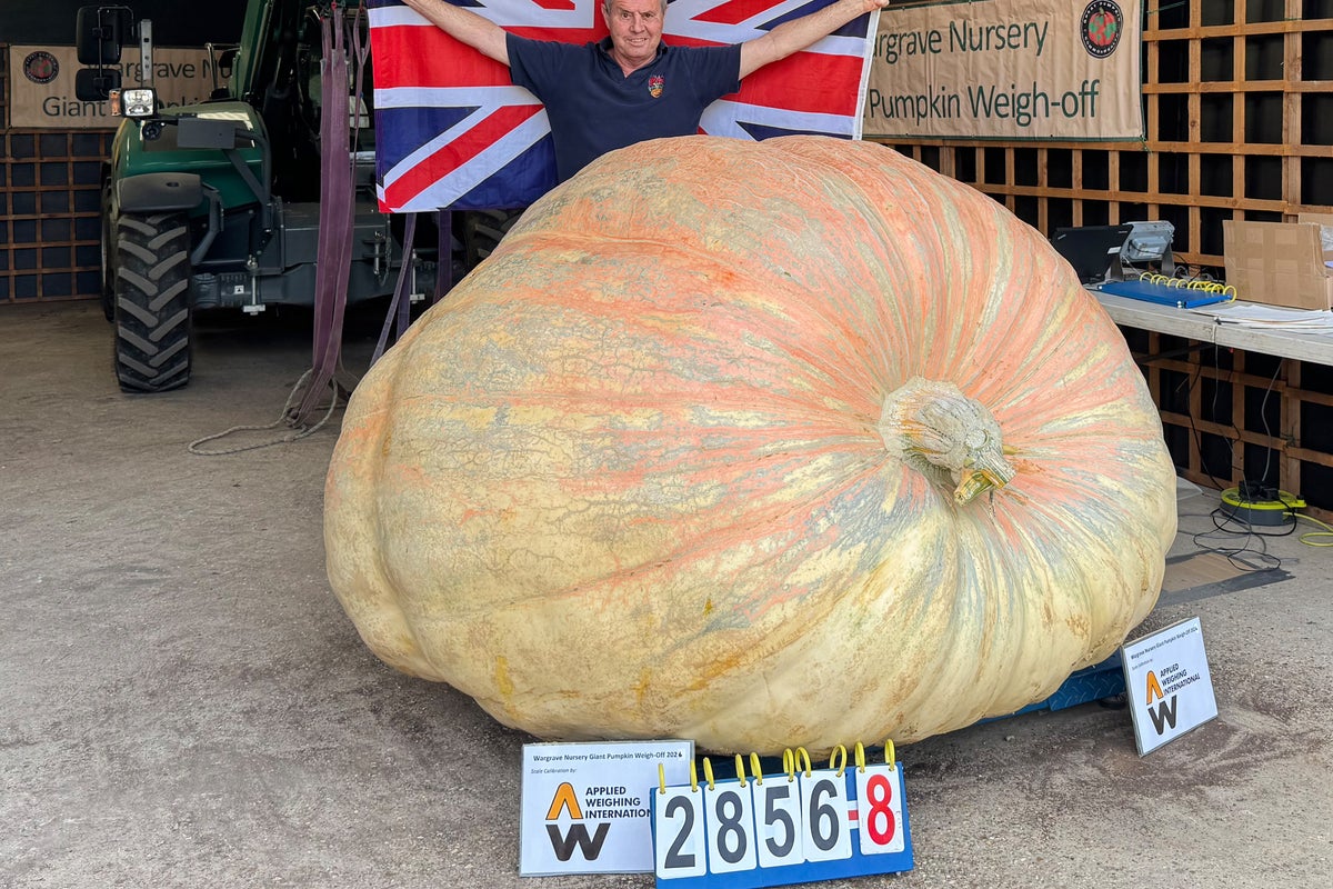 Britischer Großvater bricht Kürbis-Weltrekord mit einem Kürbis ...