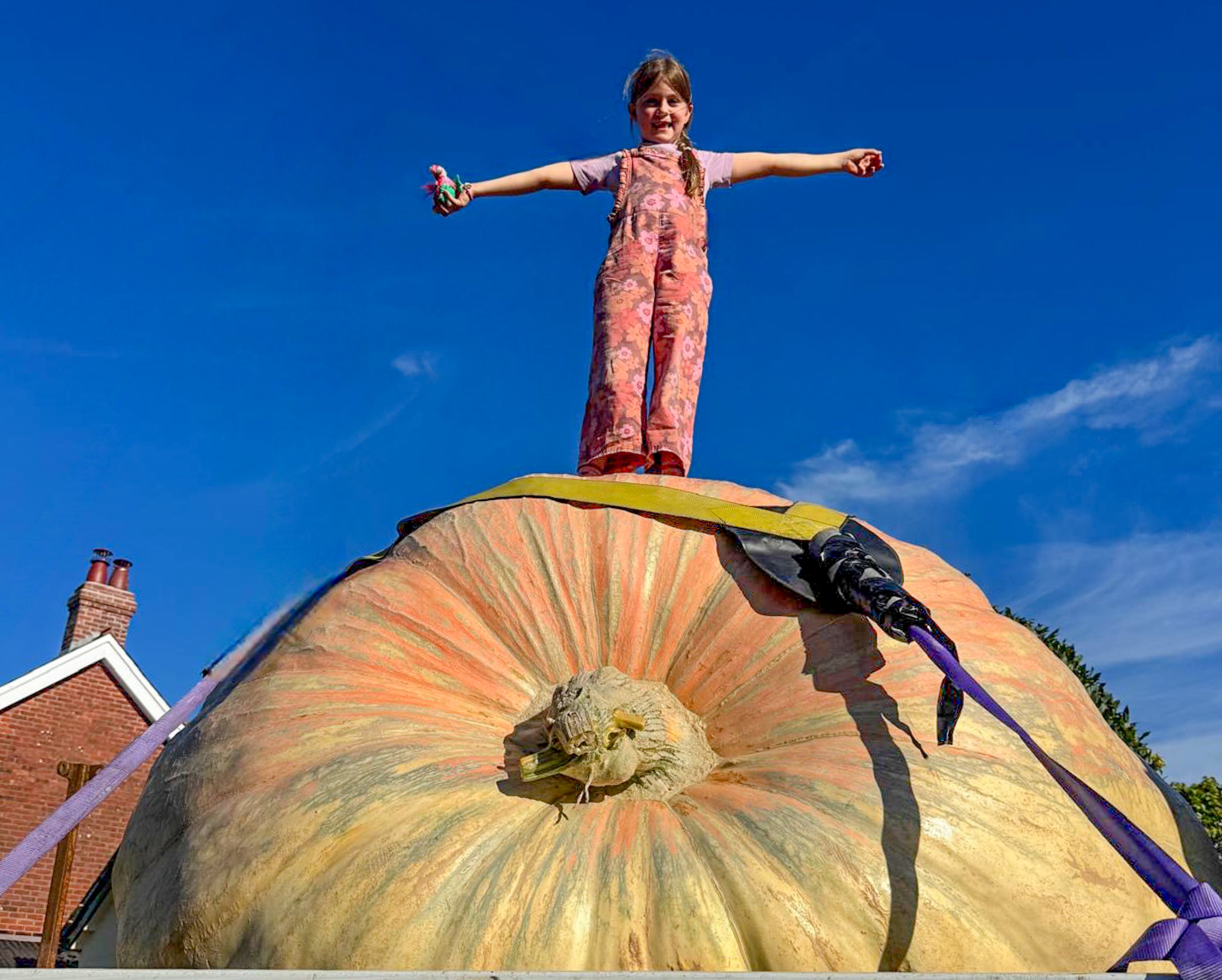 Ian Paton's granddaughter Martha Syrett, 7, atop his world record-breaking pumpkin