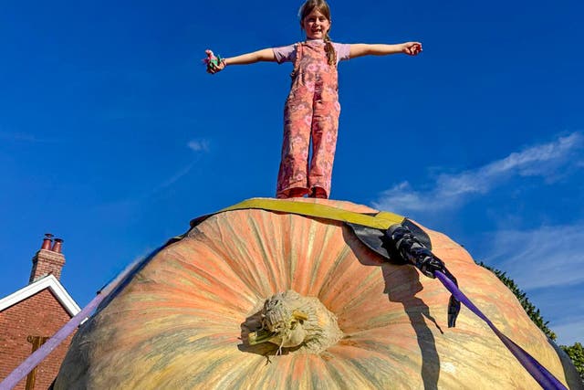 Ian Paton's granddaughter Martha Syrett, 7, atop his world record-breaking pumpkin
