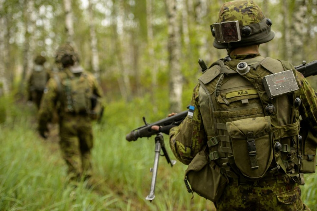 Estonia moves troops to Russian border as fears grow of attack: report