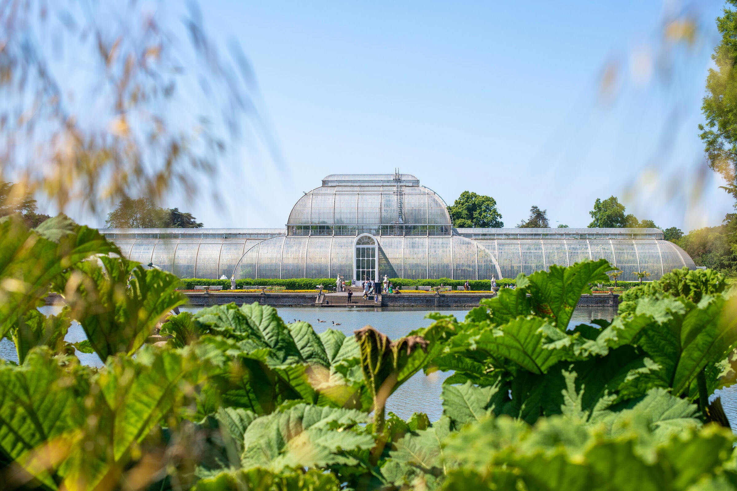 The Palm House is in line for a major renovation