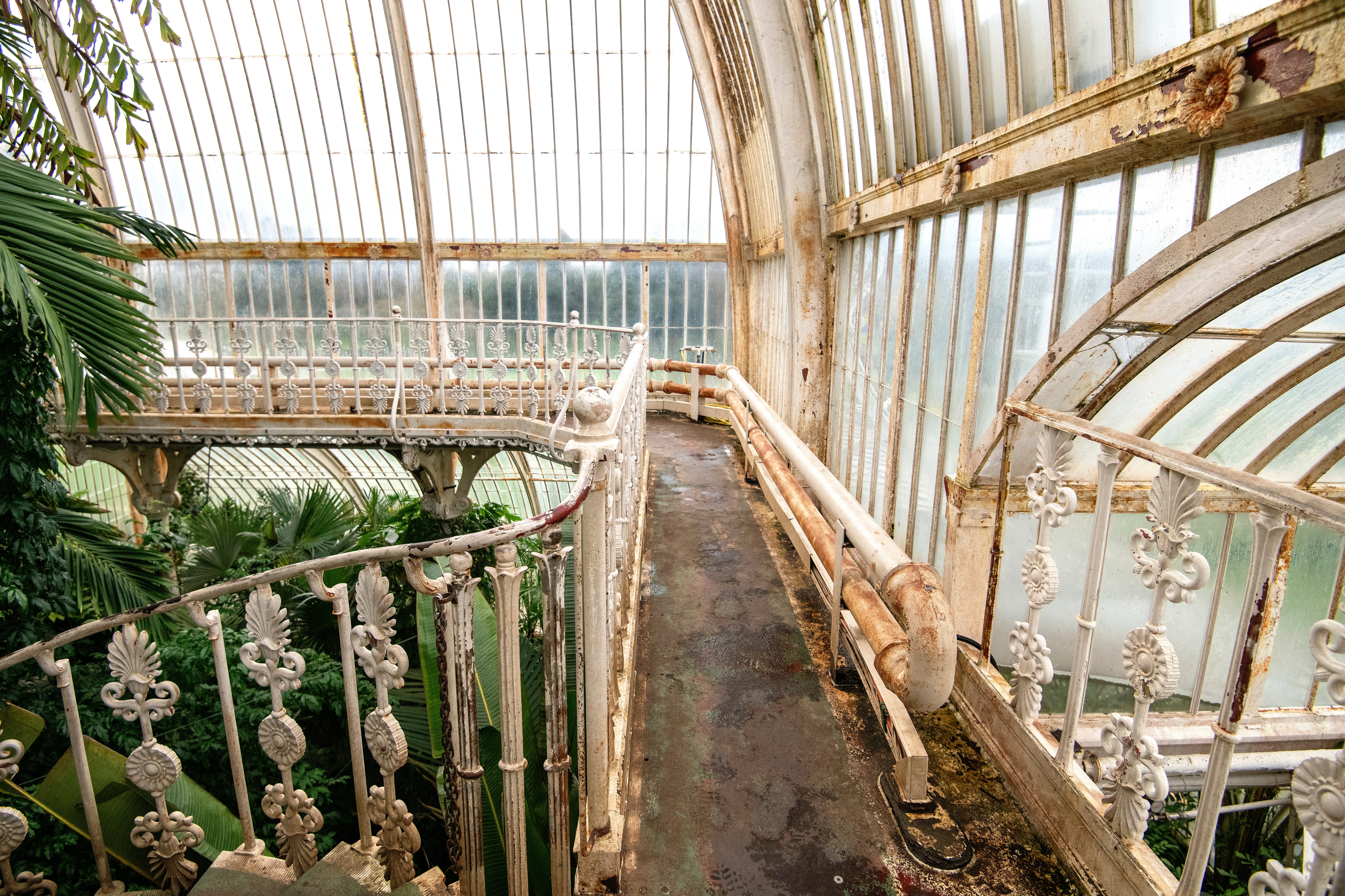 Rust on the balcony at the Palm House