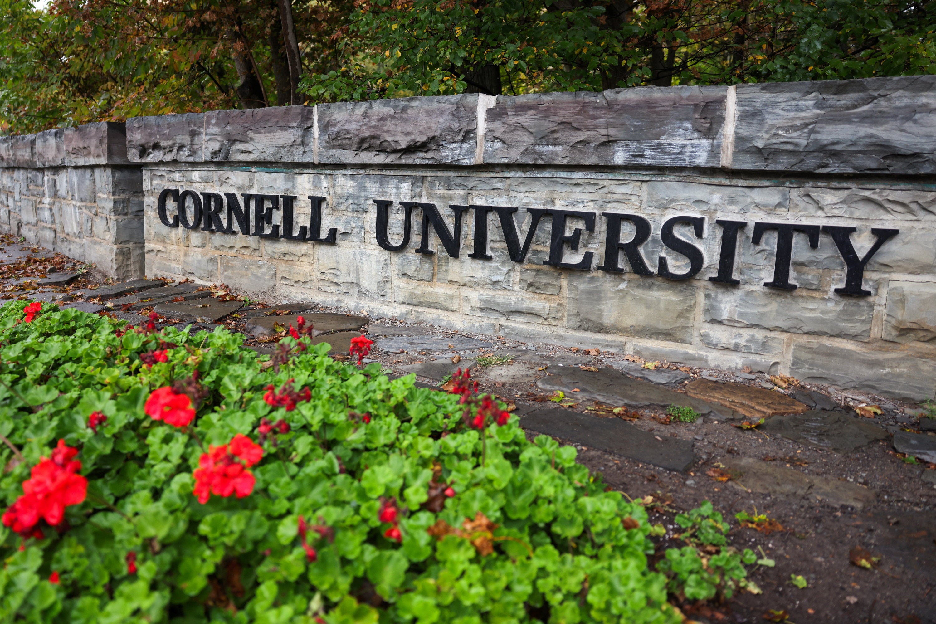 Cornell vandalized with graffiti as protests over alleged gang rape continue