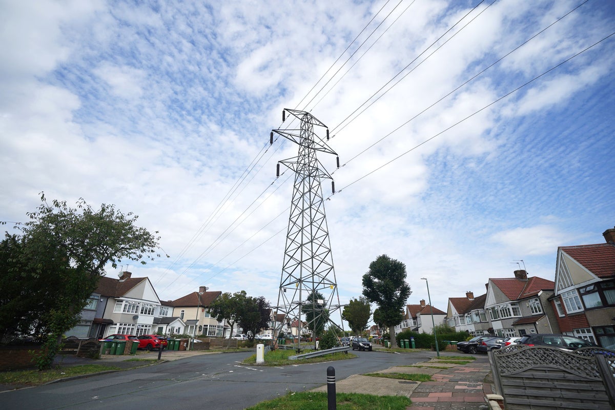 Electricity grid operator asks market for more back-up power generation