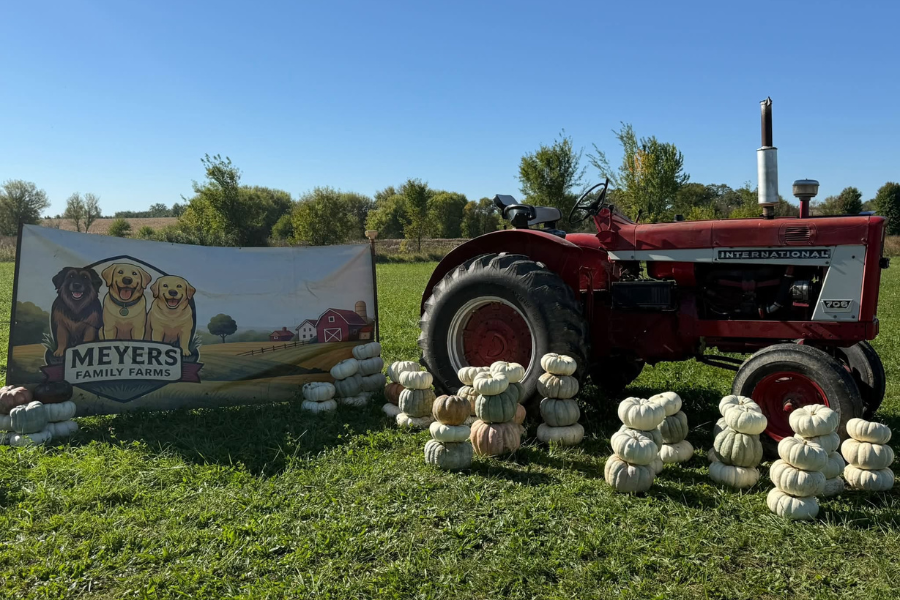 independent.co.uk - Erin Keller - Thieves rob a family farm of nearly all its pumpkins in overnight heist