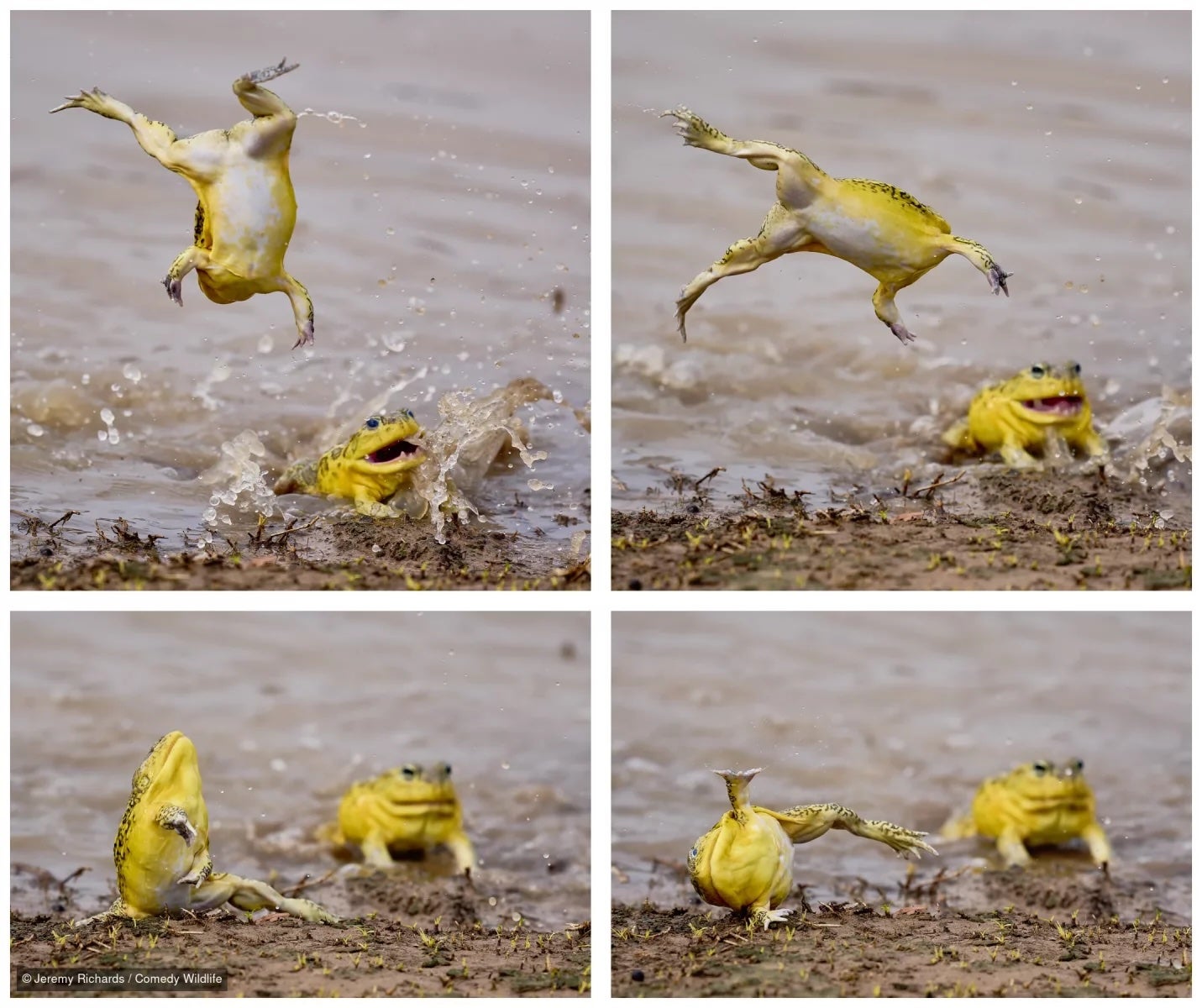 If you'd like to vote for your favorite photo, there is also a people's choice award