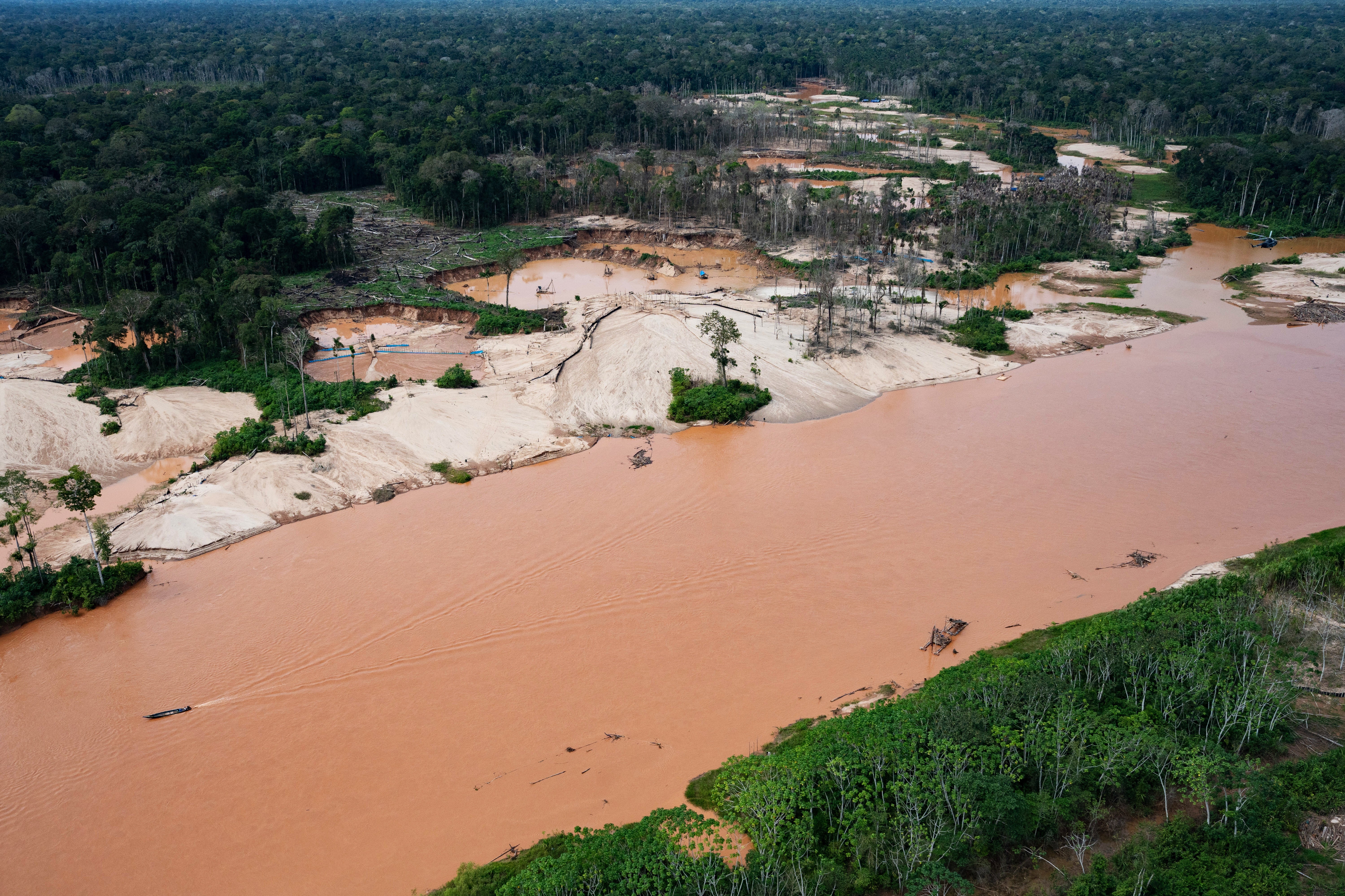 independent.co.uk - Steven Grattan - Interpol crackdown on illegal mining, logging and wildlife trafficking leads to 233 arrests