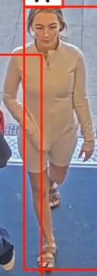 The force put out CCTV photos