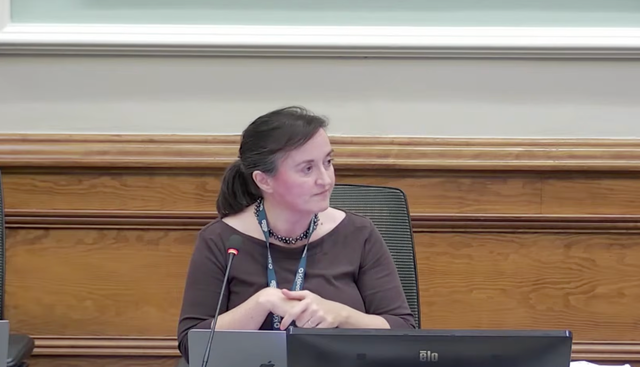 Council leader Sarah Wood doubled down on her defence of the comments on Tuesday