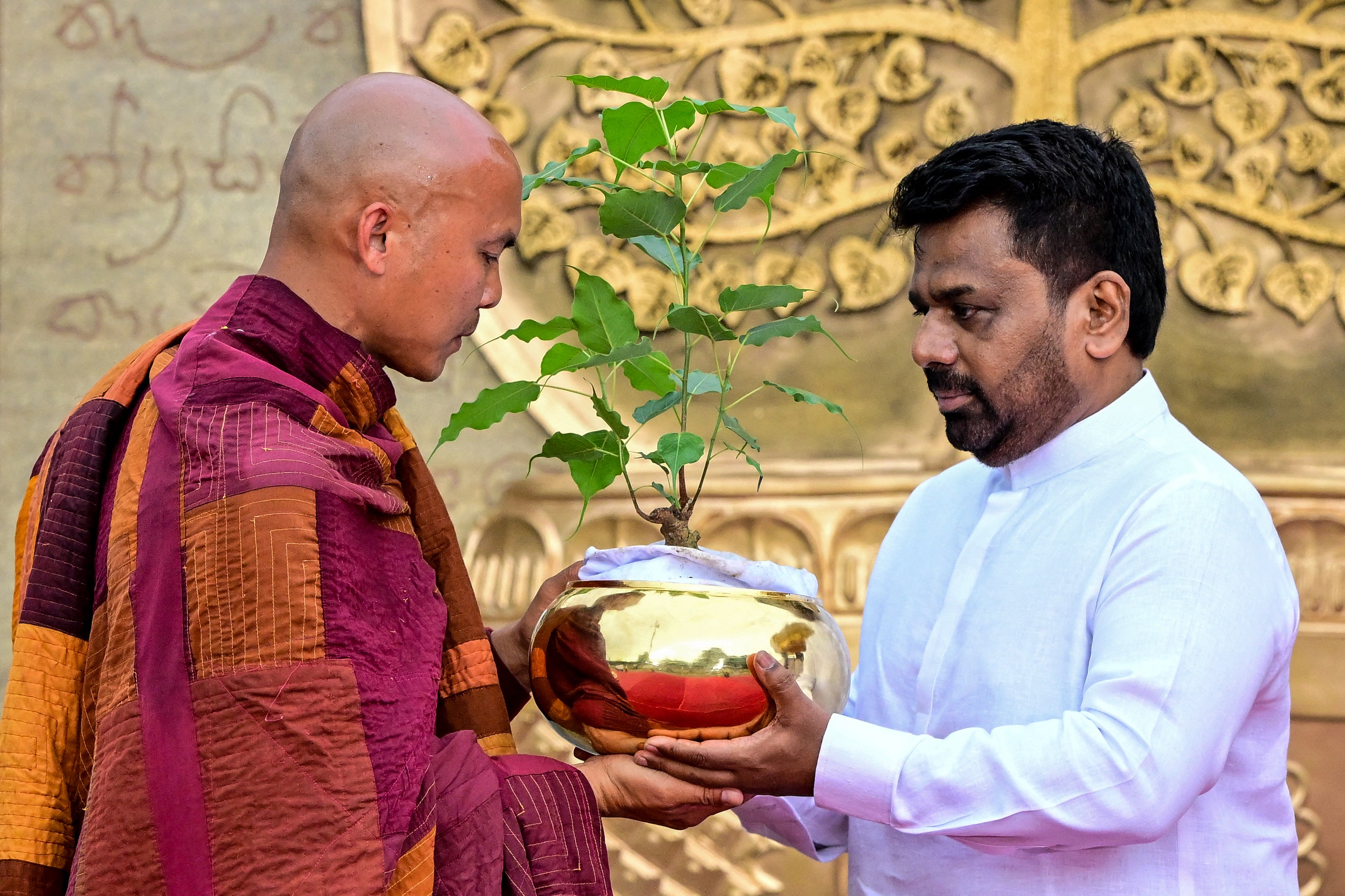 Sri Lankan president Anura Kumara Dissanayake gives a sapling to a Vietnamese Buddhist monk in Colombo on 18 April 2026