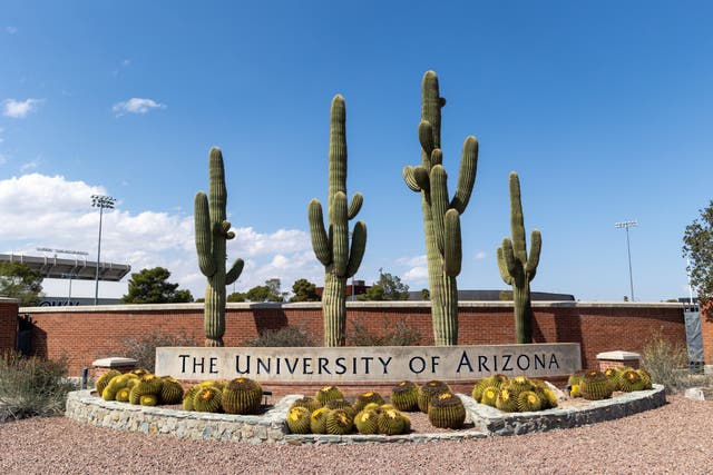 Nearly half of the interfraternity council chapters at the University of Arizona have received multiple reports of misconduct against them, the dean of students said