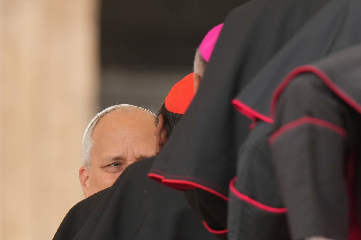 Pope Leo XIV opens status check on Pope Francis' contentious opening to civilly remarried Catholics