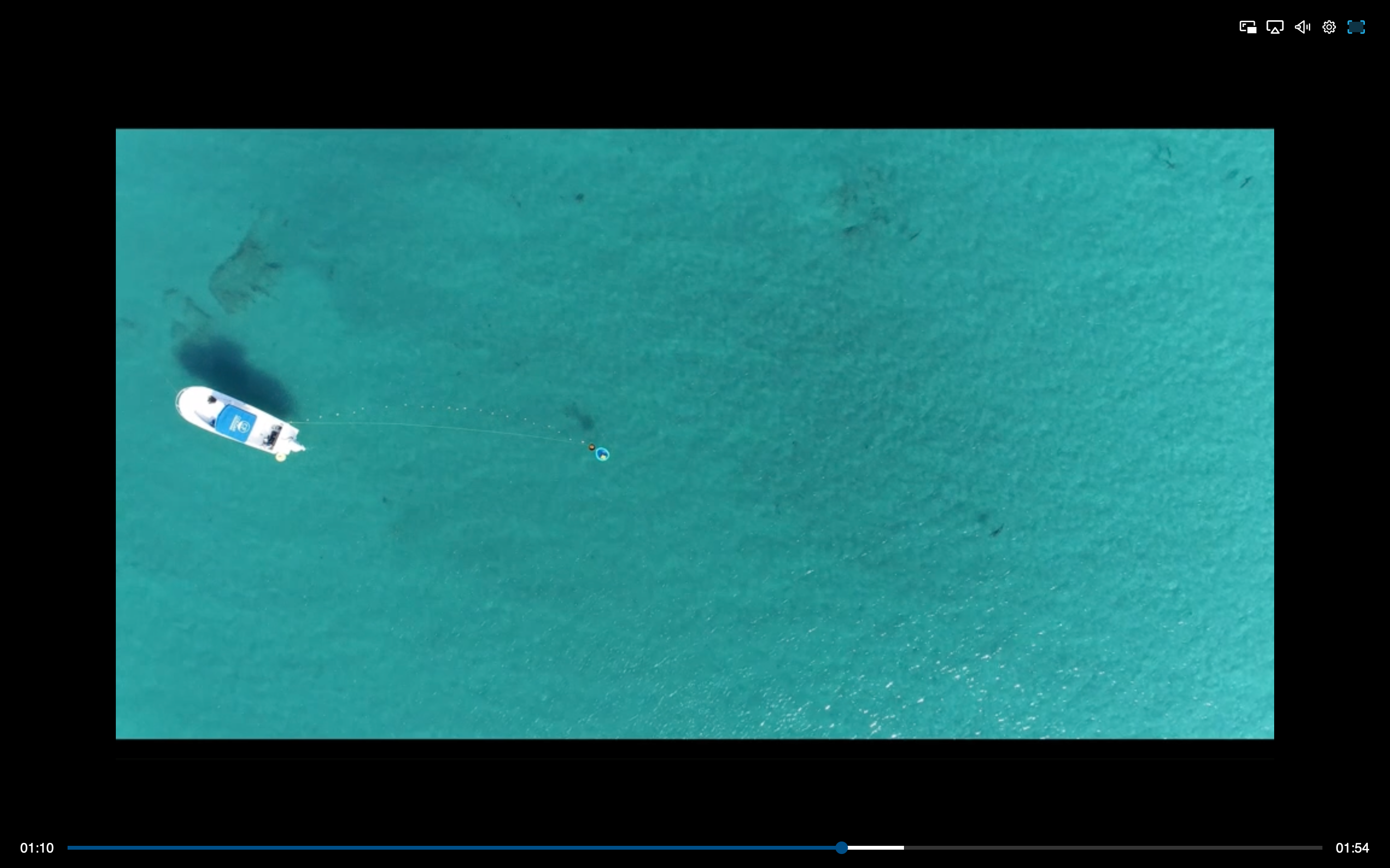 Sharks detected and responded to underwater sounds from 74m away