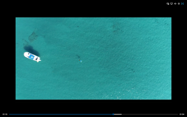 Sharks detected and responded to underwater sounds from 74m away