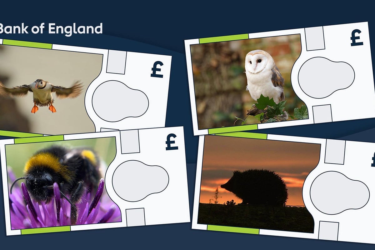 Bank of England reveals animals to feature on next banknotes
