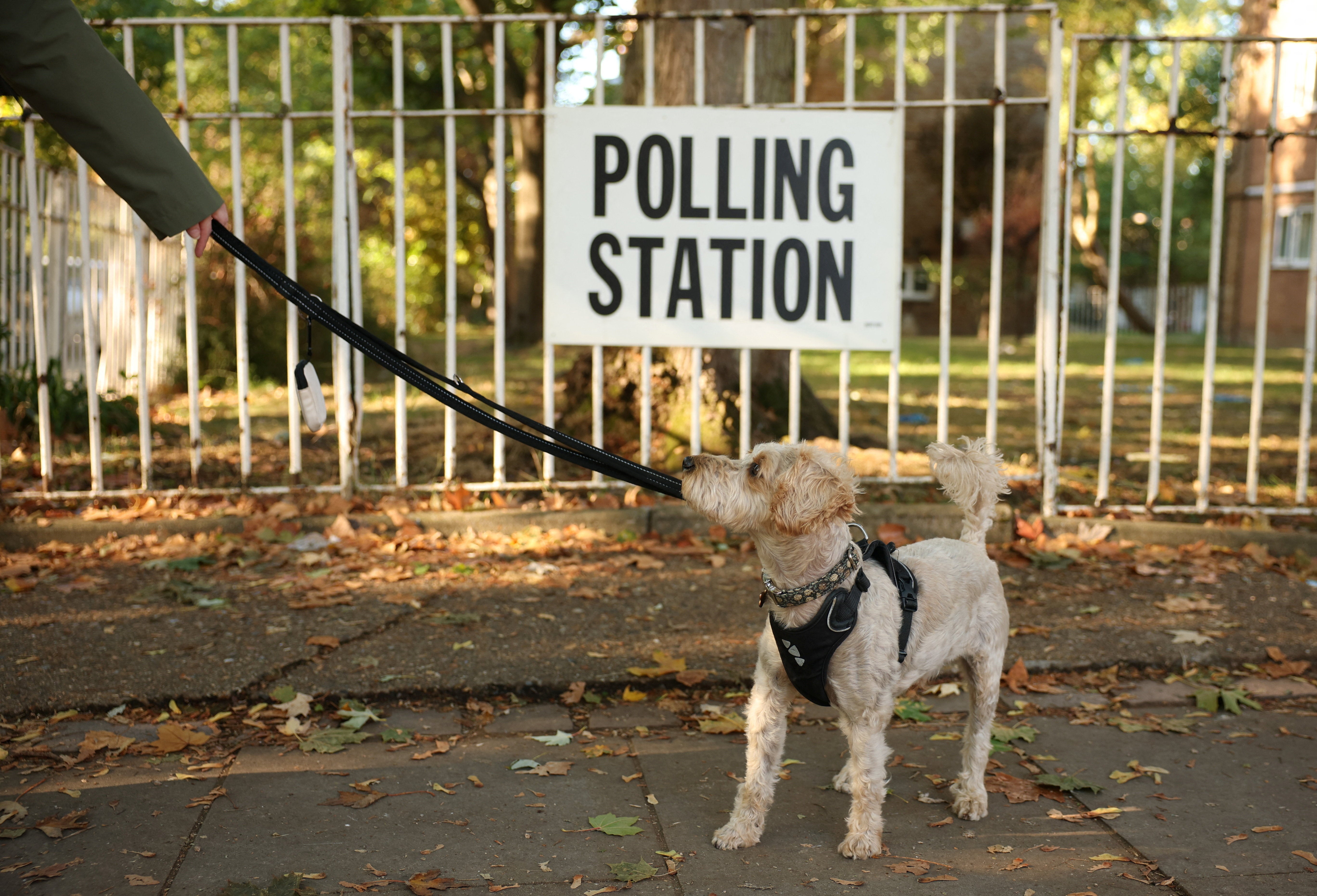 https://static.independent.co.uk/2026/10/08/10/2026-10-08T092457Z_64571464_RC2XYNA60UQV_RTRMADP_3_BRITAIN-POLITICS-BYELECTION.JPG?trim=38,0,38,0&width=1200&height=800&crop=1200:800