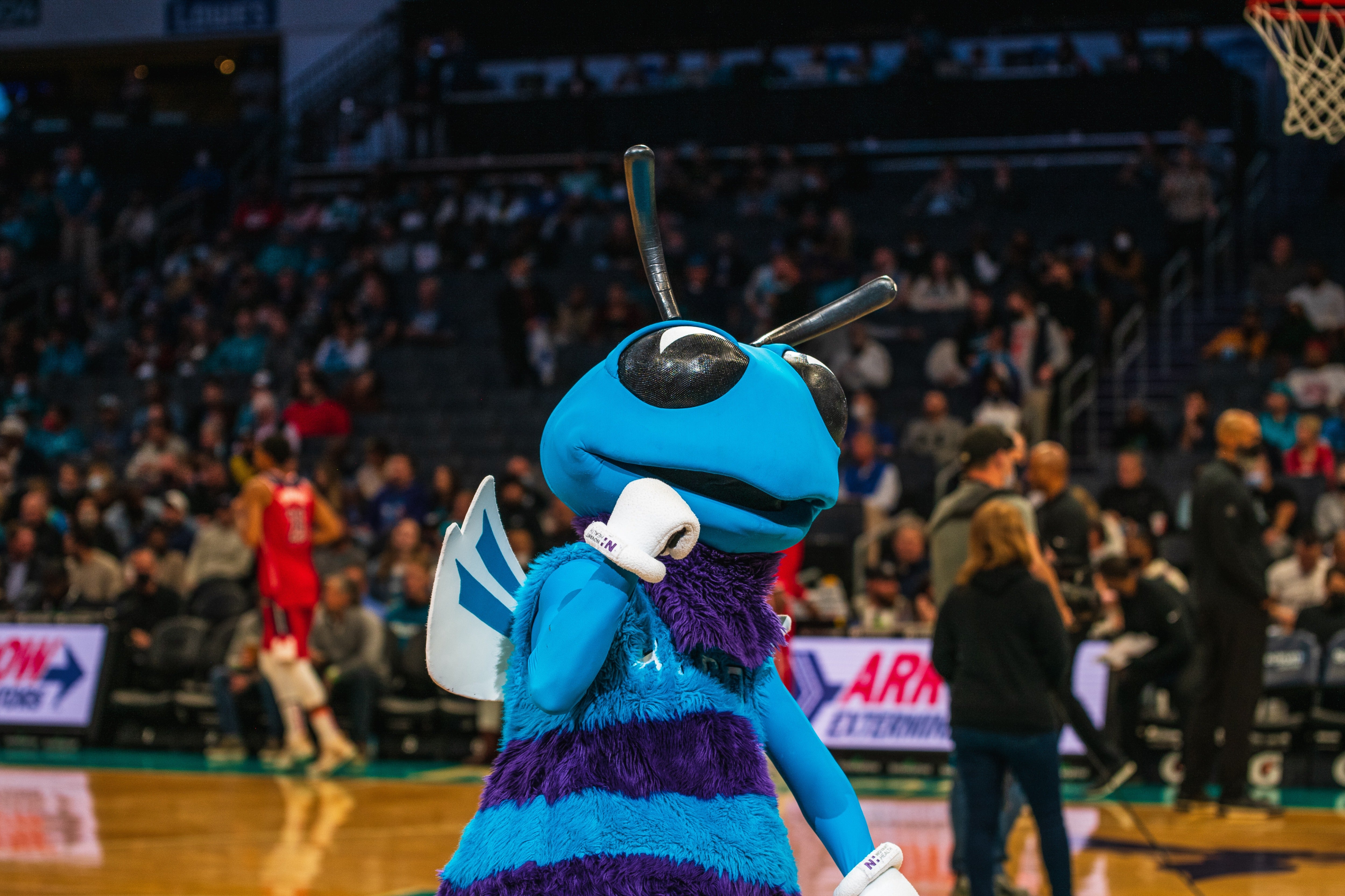 Charlotte Hornets