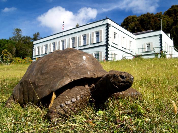 Jonathan, pictured in front of Plantation House, has the genes of a five-year-old to keep his cells full of energy