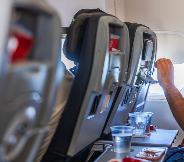 Los Angeles resident Ricka Thomas is suing Delta Air Lines over a seat she claims was so foul, it left her with a bacterial infection (file photo)