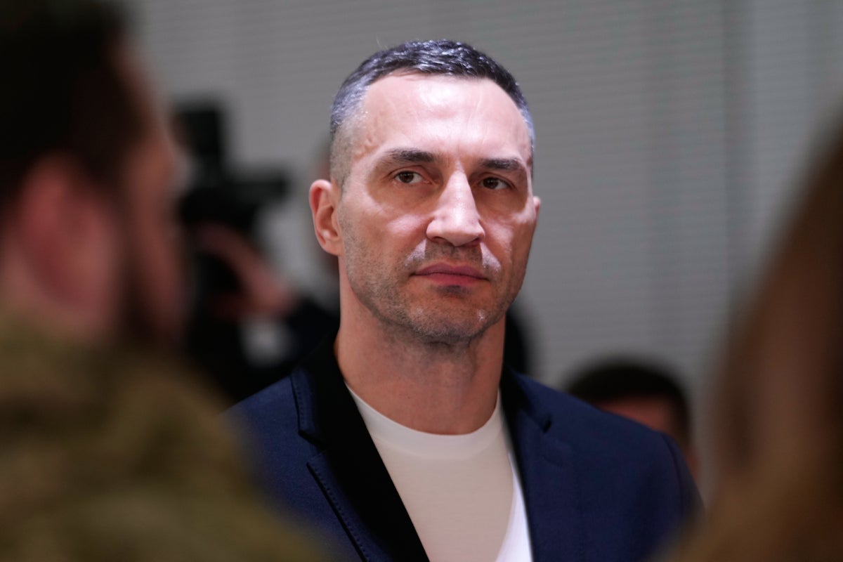 wladimir klitschko guardianship kaya