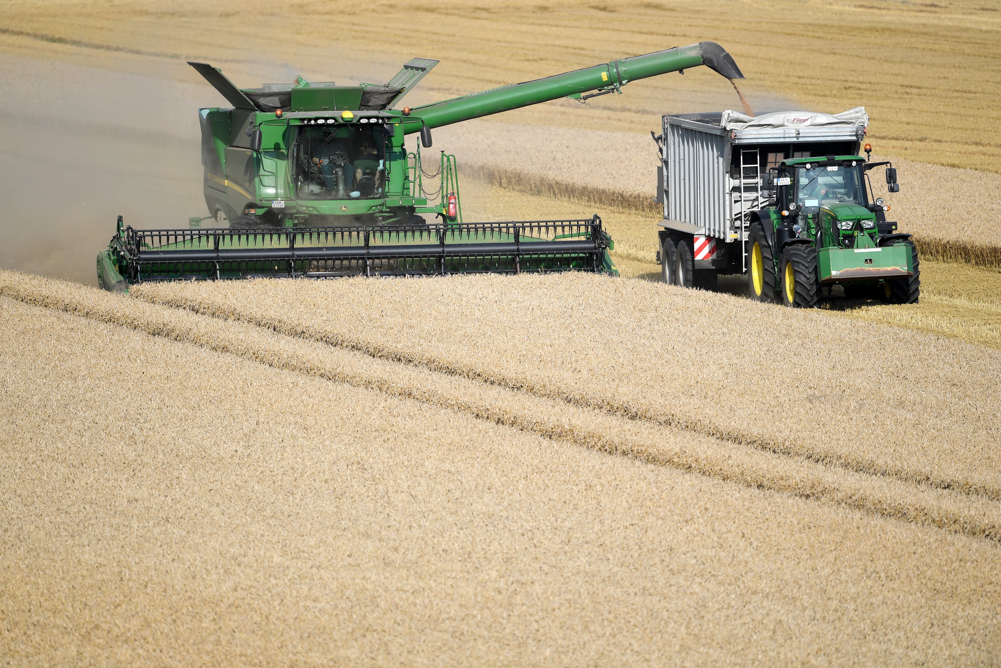 Wheat producers in northern Europe are particularly vulnerable to STB (Joe Giddens/PA)