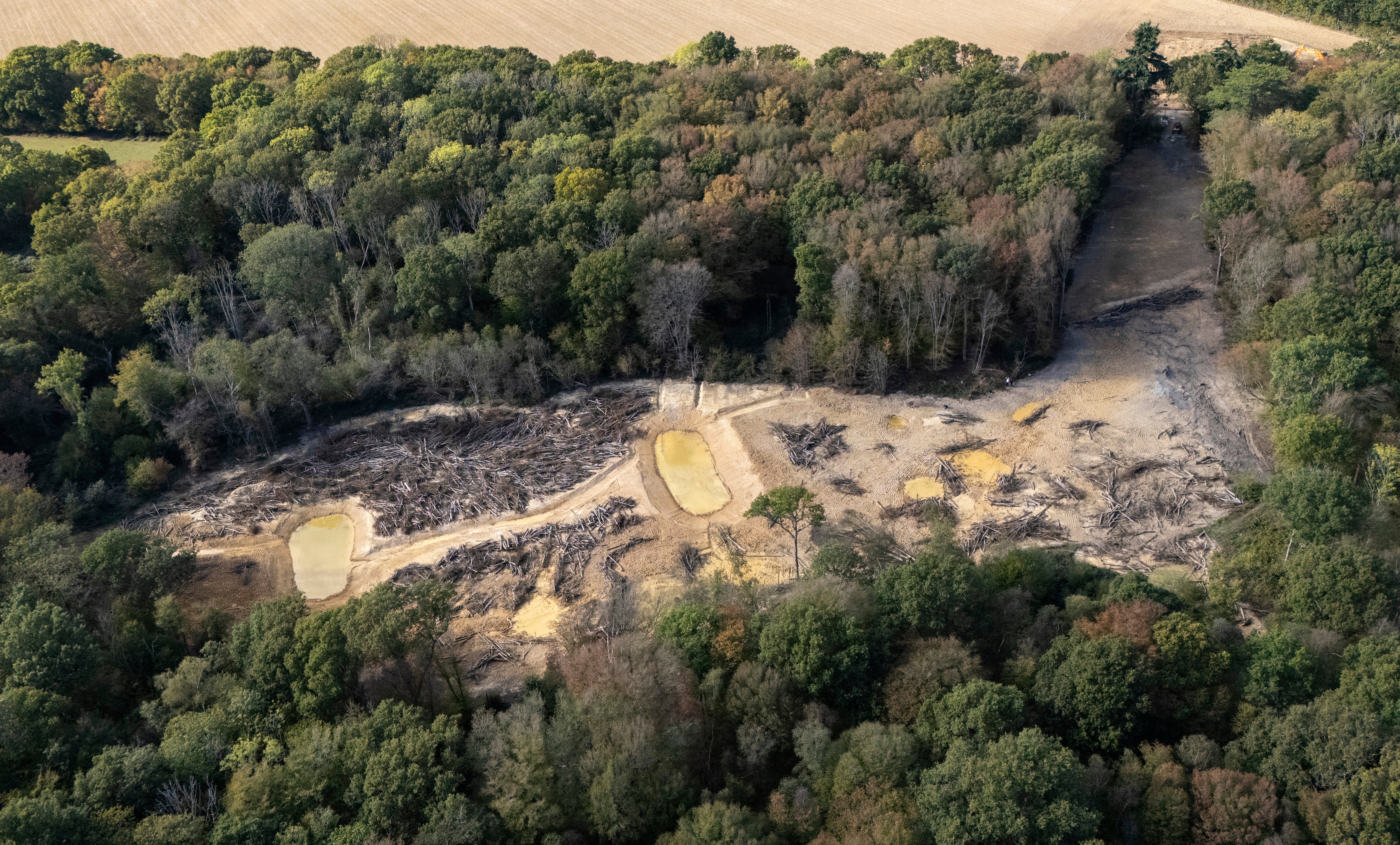 Almost 40,000 tonnes of illegally dumped waste have been cleared from an ancient woodland in Kent after a 15-month operation, the Environment Agency said