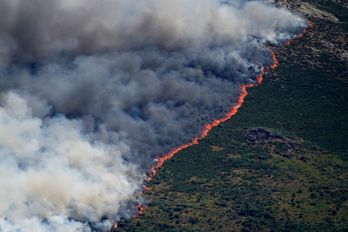 El Nino is now hottest ever recorded and still growing in strength, announces Japan