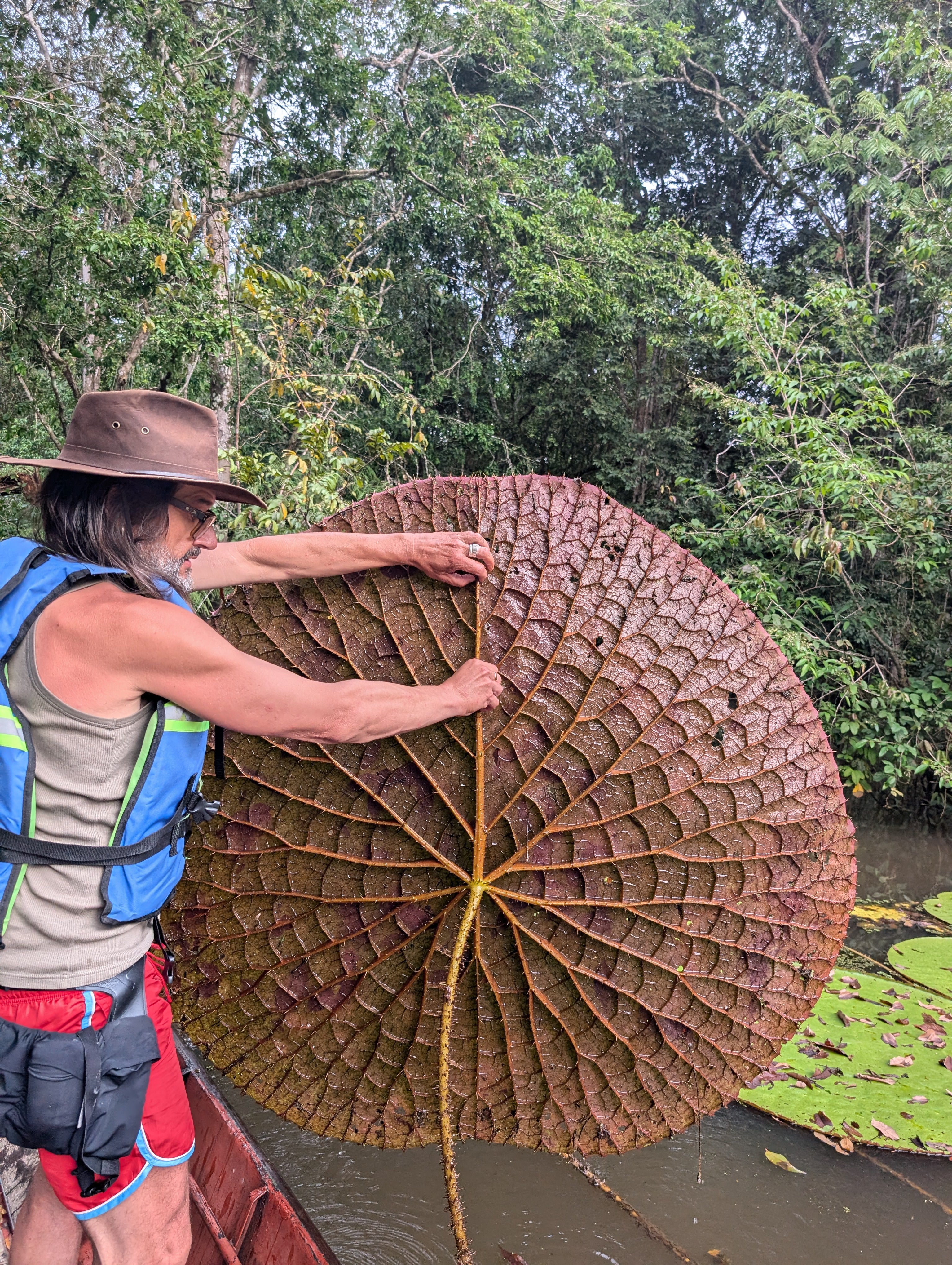 Waterlily expert Carlos Magdalena with a Victoria colombiana leaf