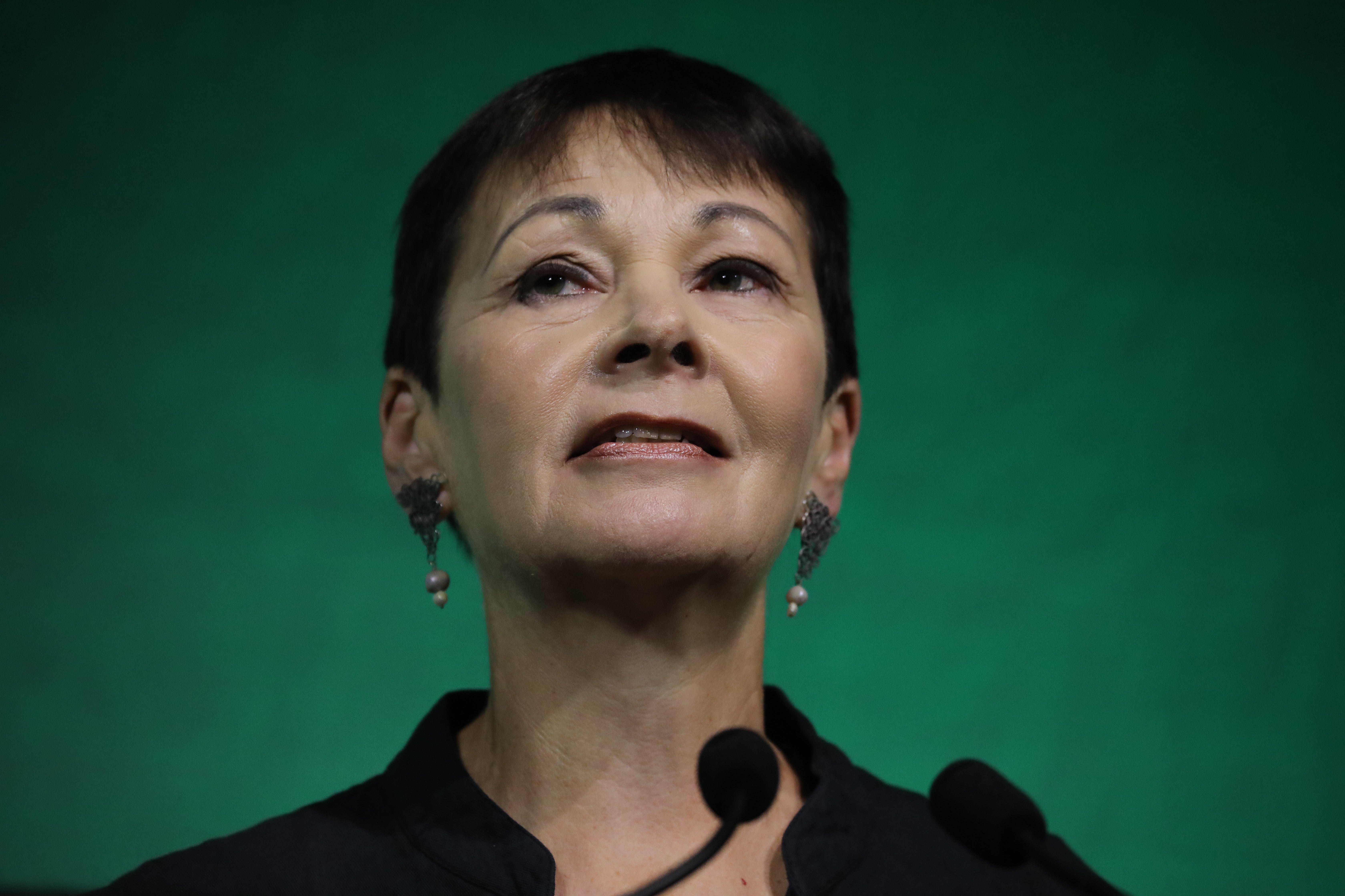 Caroline Lucas was very critical of Mr Polanski's position