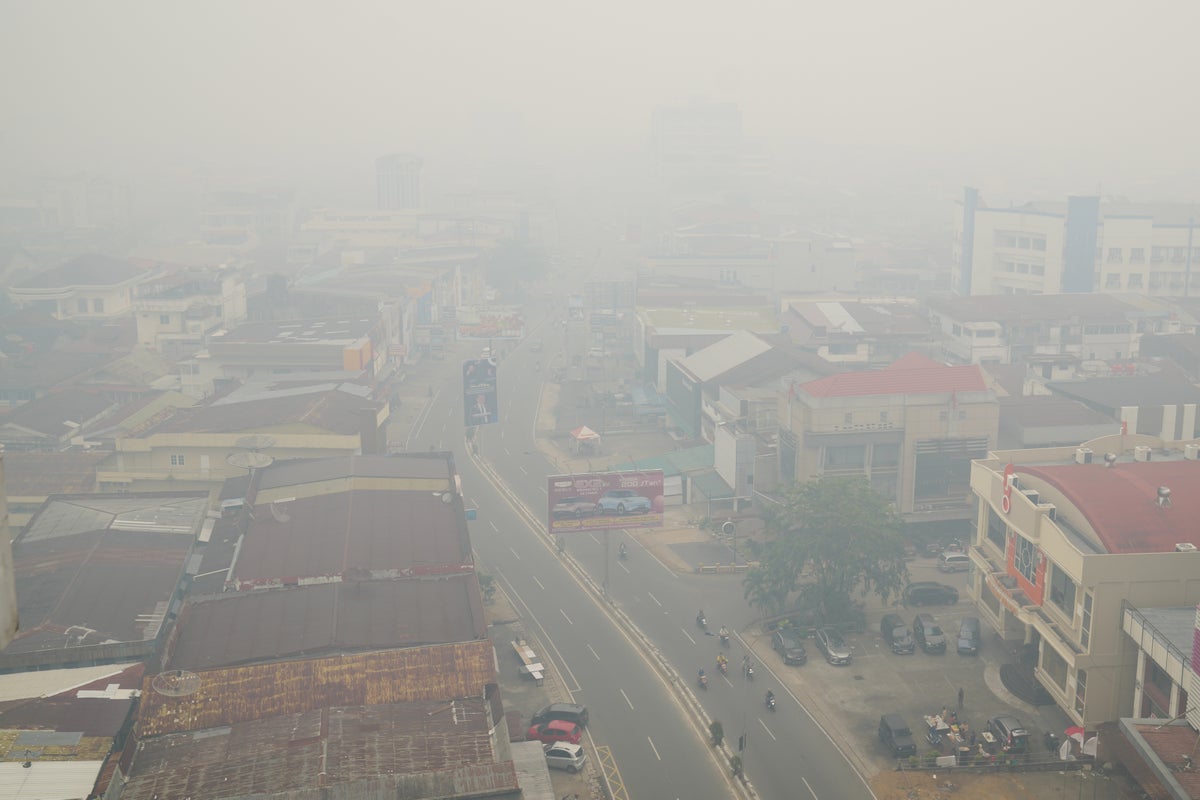 borneo
