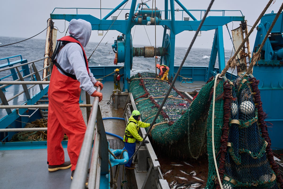 Alaska pollock fishery sparks dispute over trawling impacts