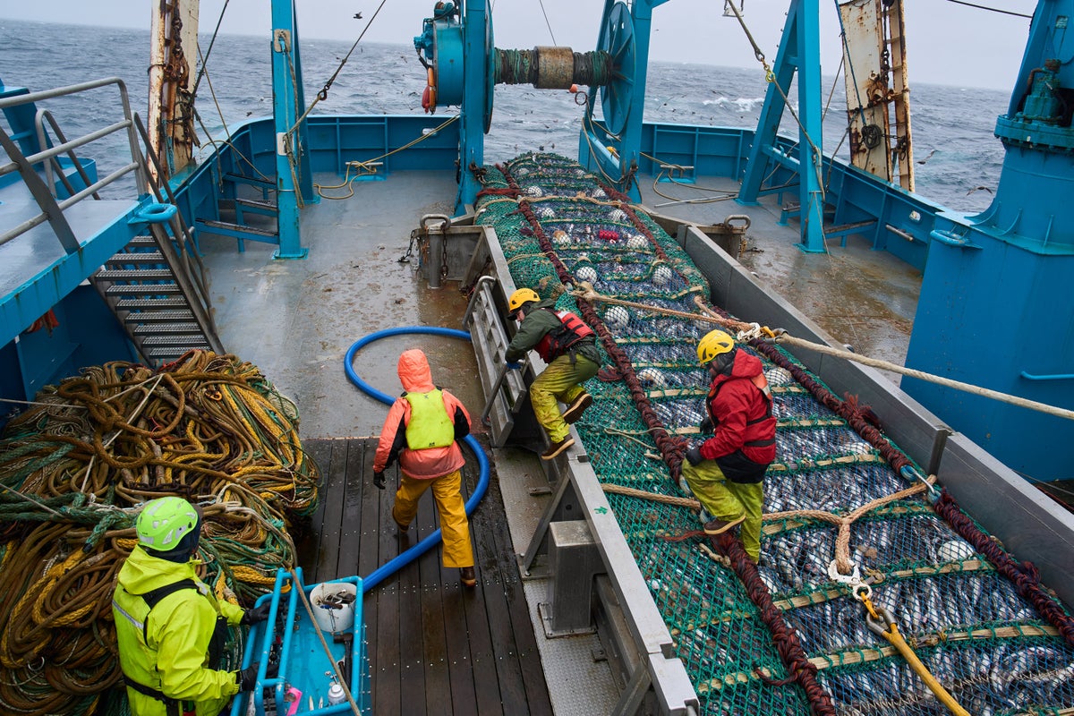 Fishing company behind McDonald’s Filet-o-Fish devastates Alaska salmon and Native communities