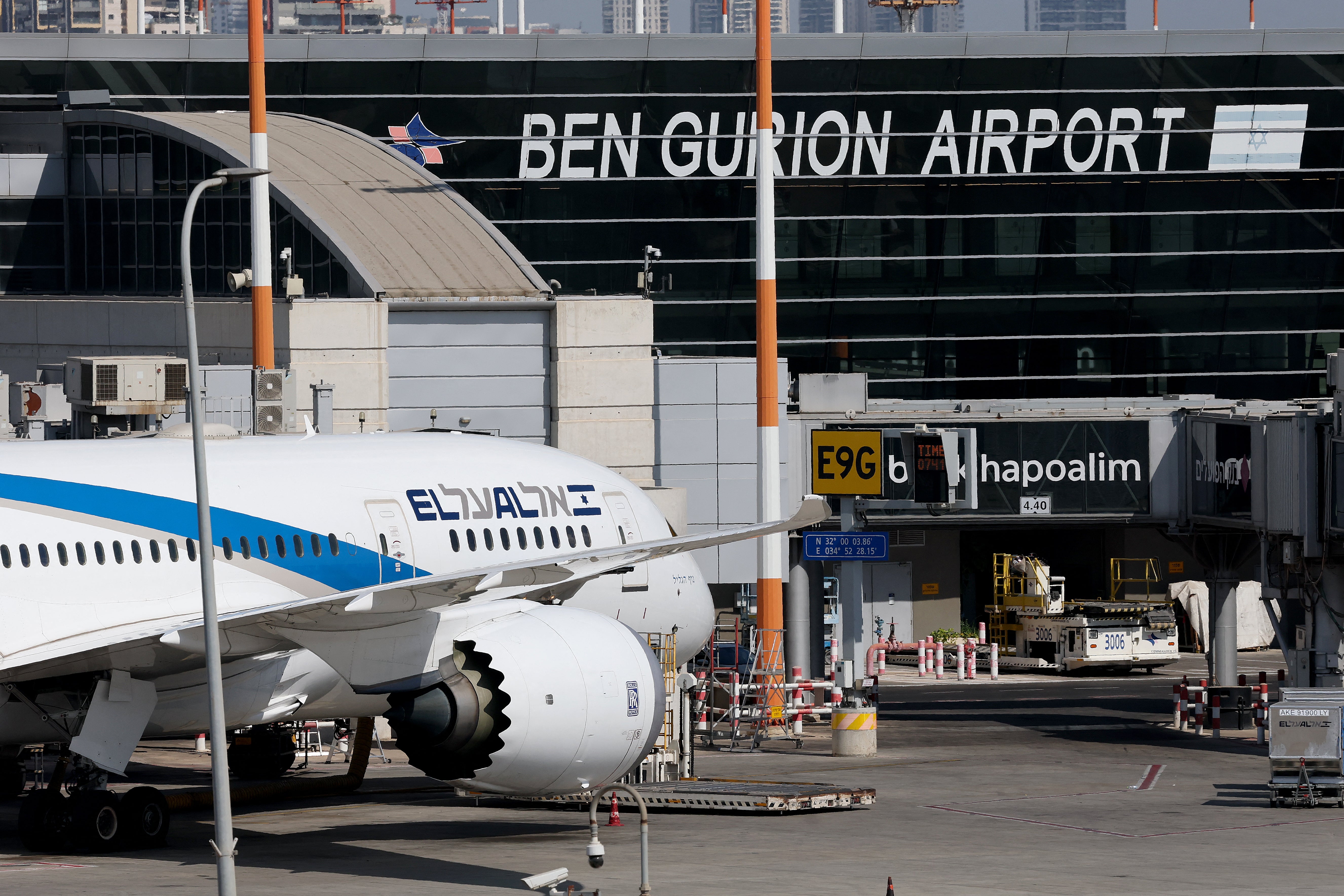 The co-pilot is alleged to have premeditated an attack on Ben Gurion airport in Israel (file)