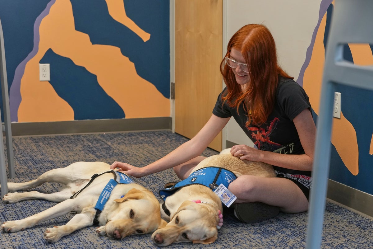 Therapy dogs help Evergreen High students heal after 2025 shooting