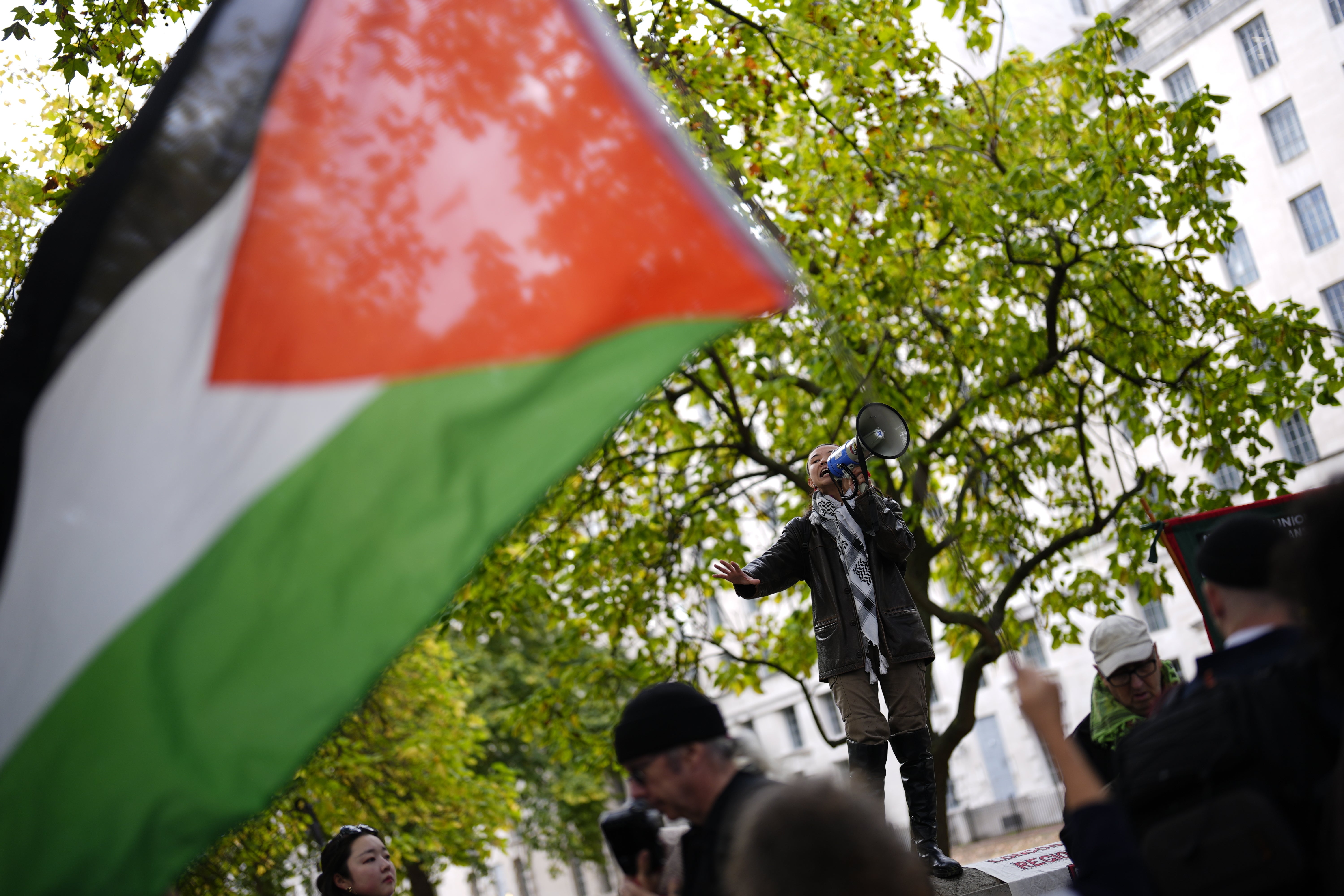 Several arrests made as thousands descend on London for pro-Palestine ...